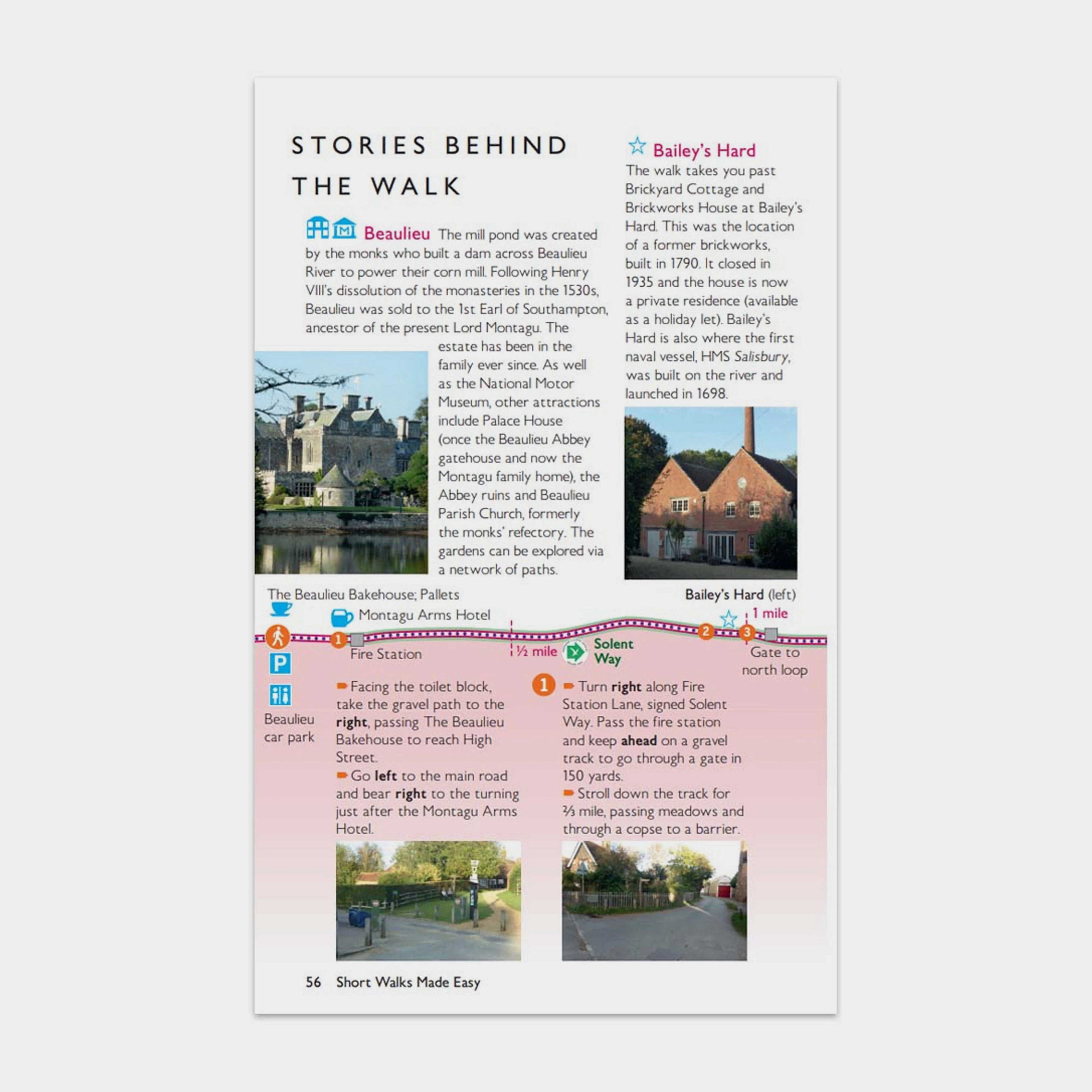 Short Walks Made Easy – New Forest - Image 4