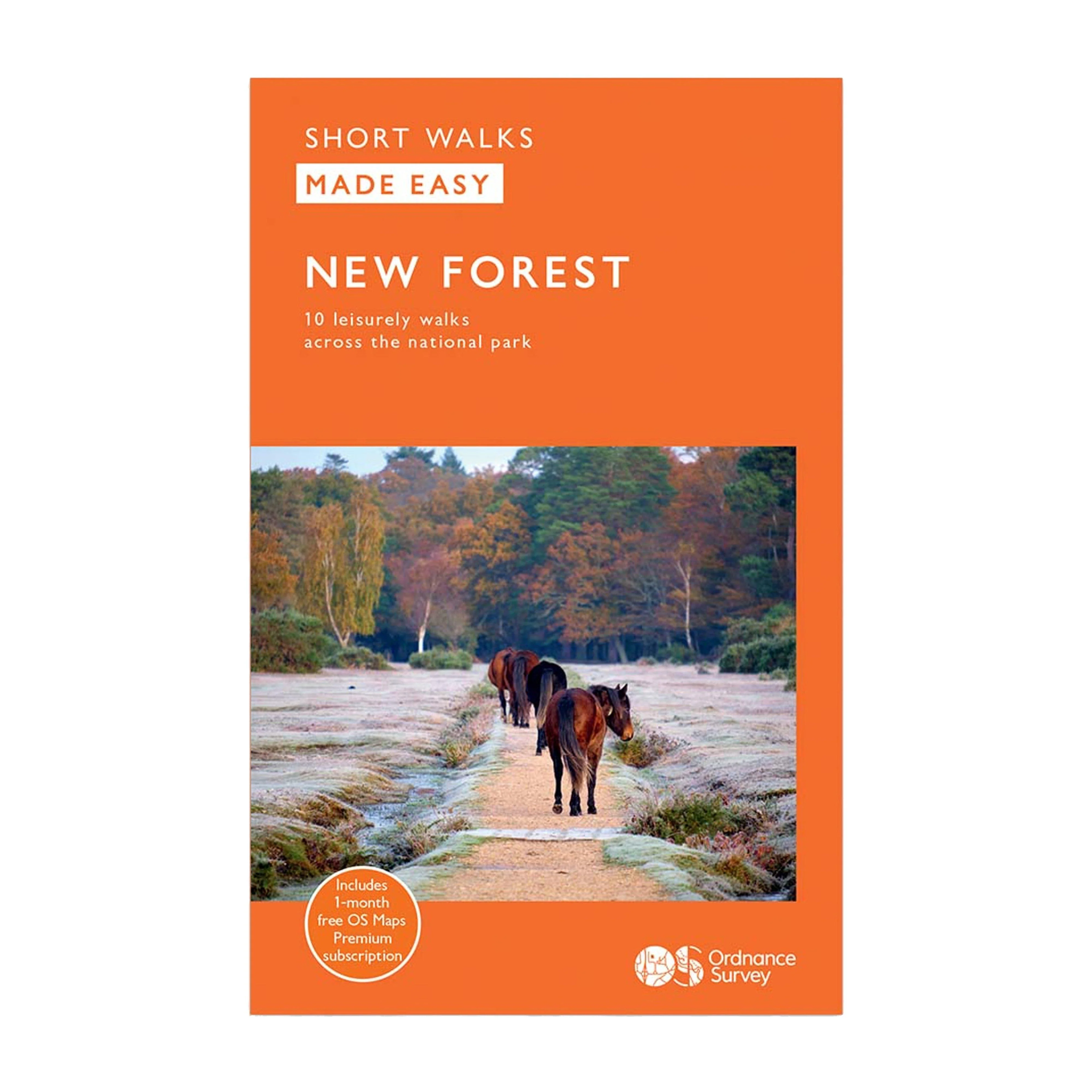 Short Walks Made Easy – New Forest - Image 6