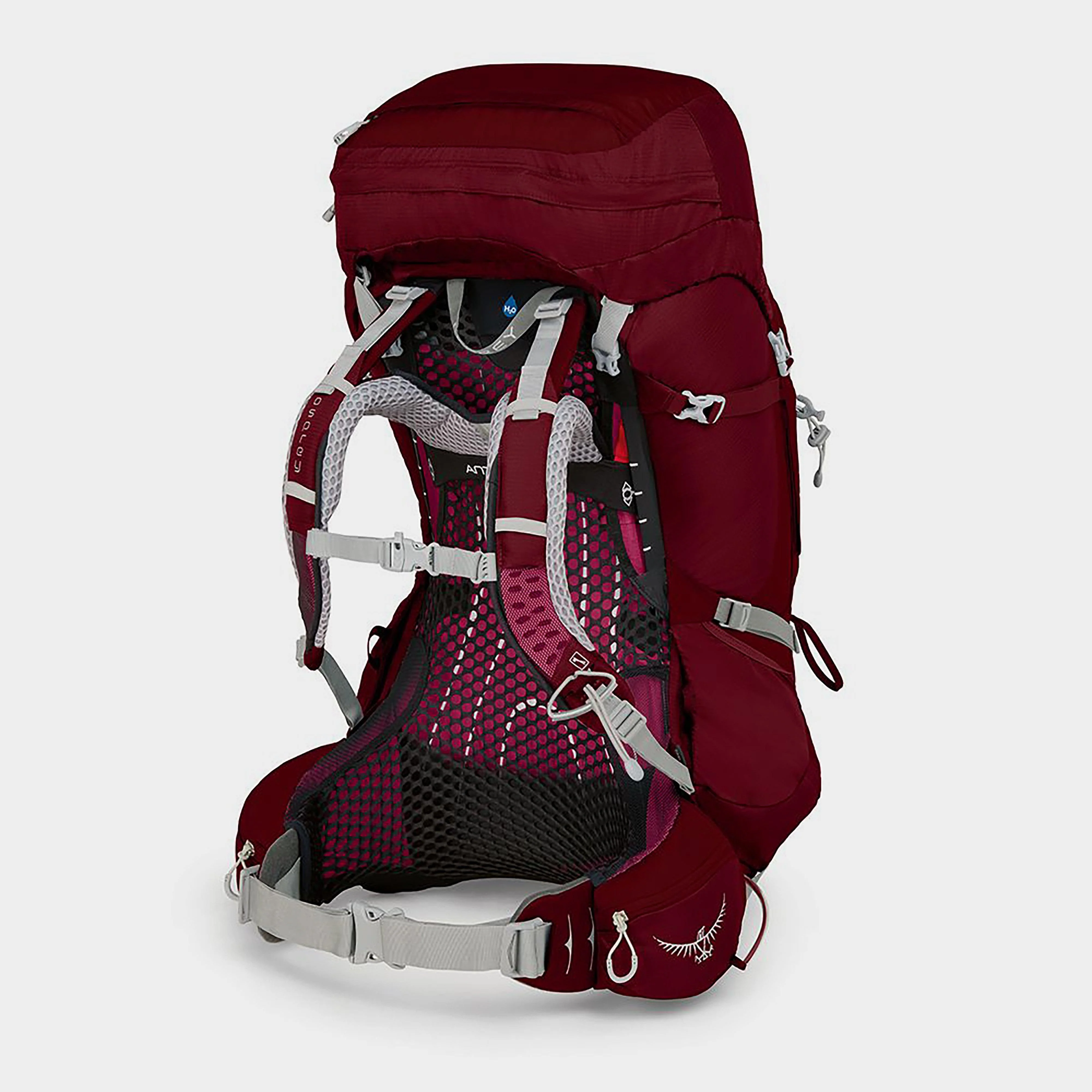 Aura AG 65 Litre Rucksack (M/L) - Image 2