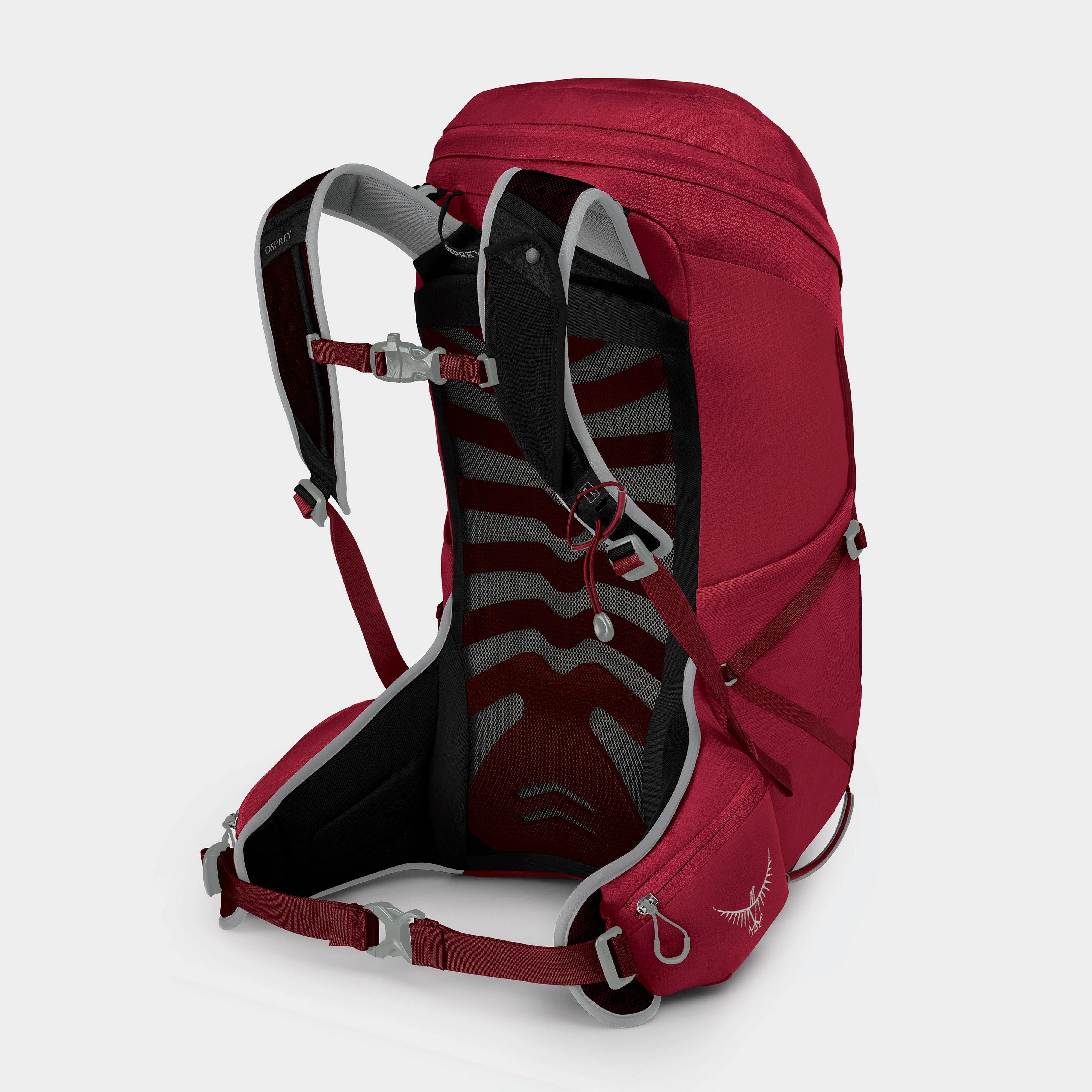 Talon 26 Daypack S/M - Image 2