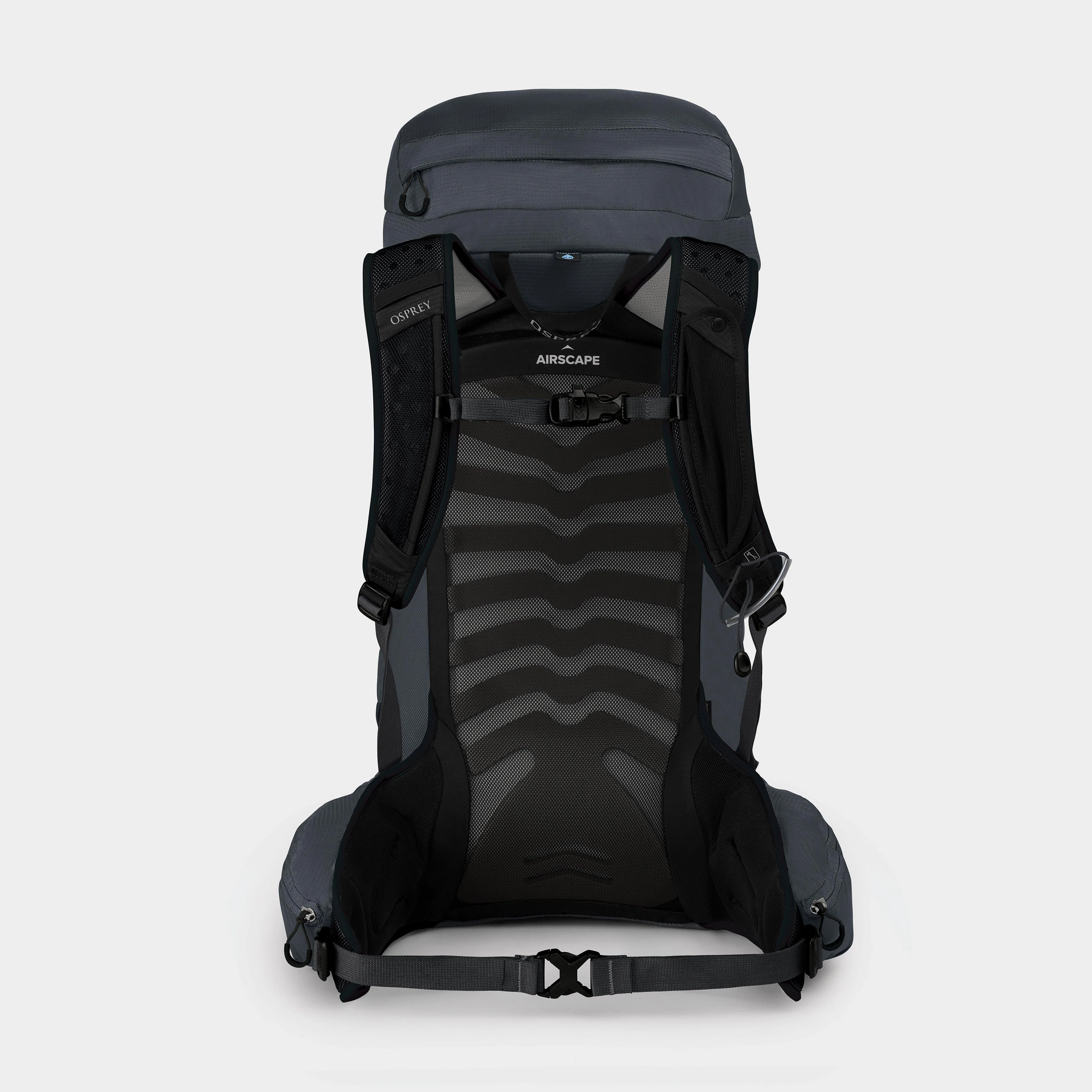 Talon 33 Daypack (S/M) - Image 2