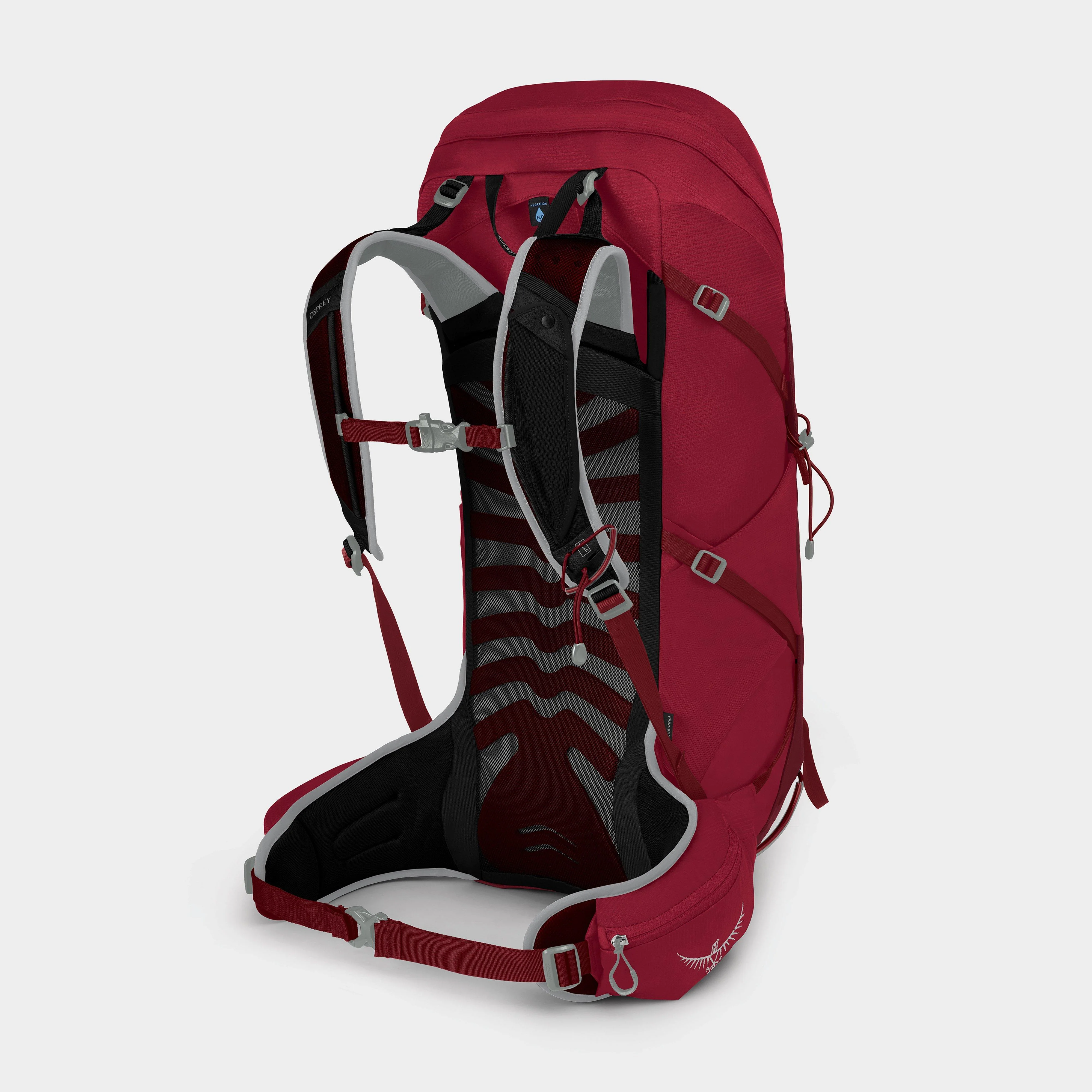 Talon 36 Litre Daypack - Image 2