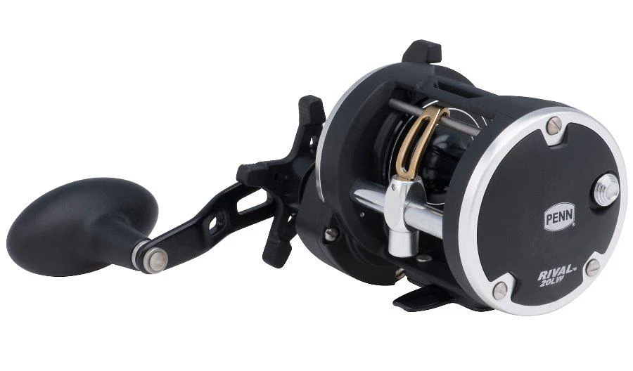 Rival 20 Levelwind - Image 3