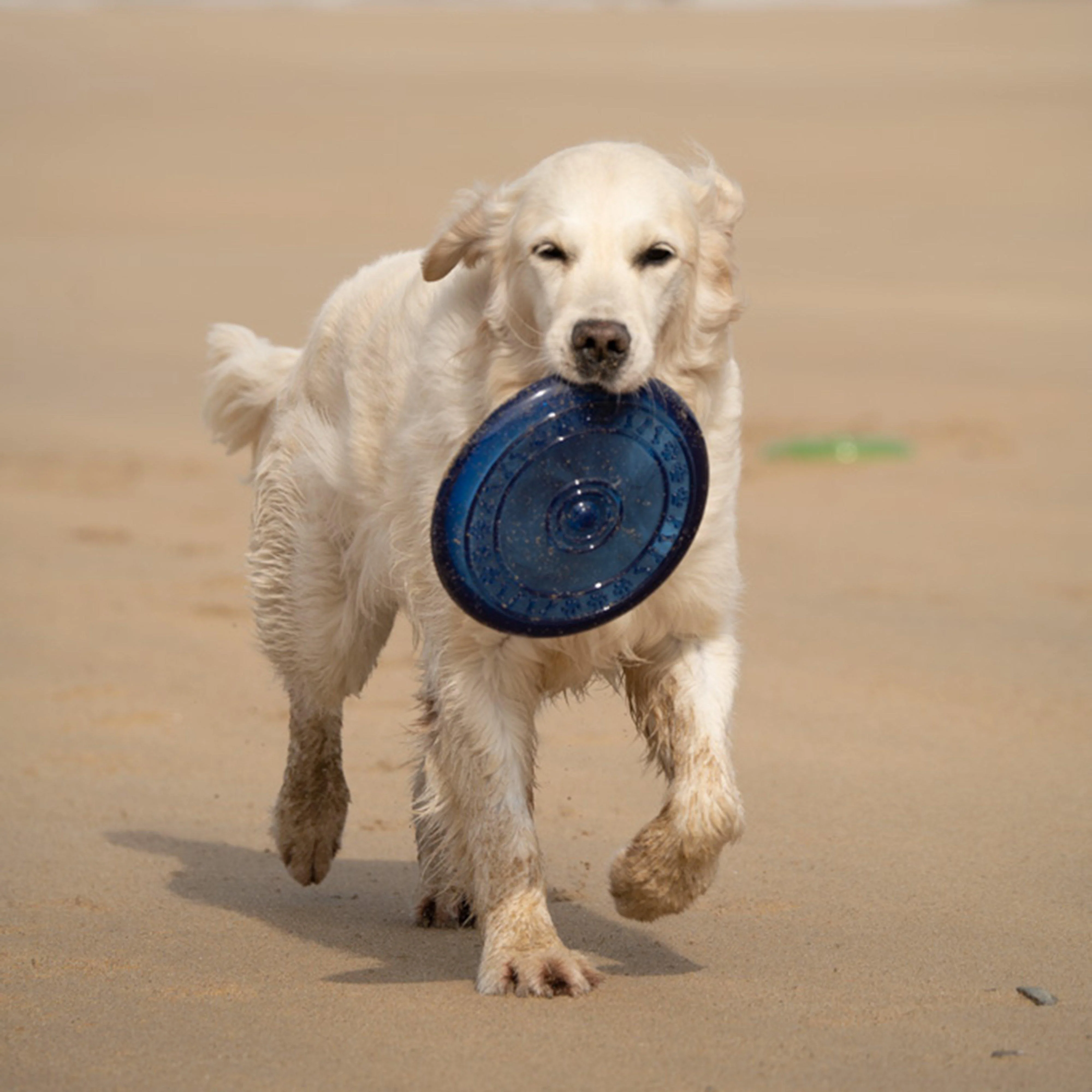 TPR Frisbee Dog Toy - Image 7