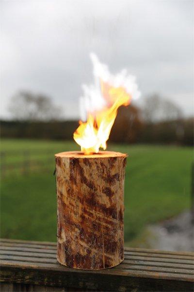 Log Candle - Image 2