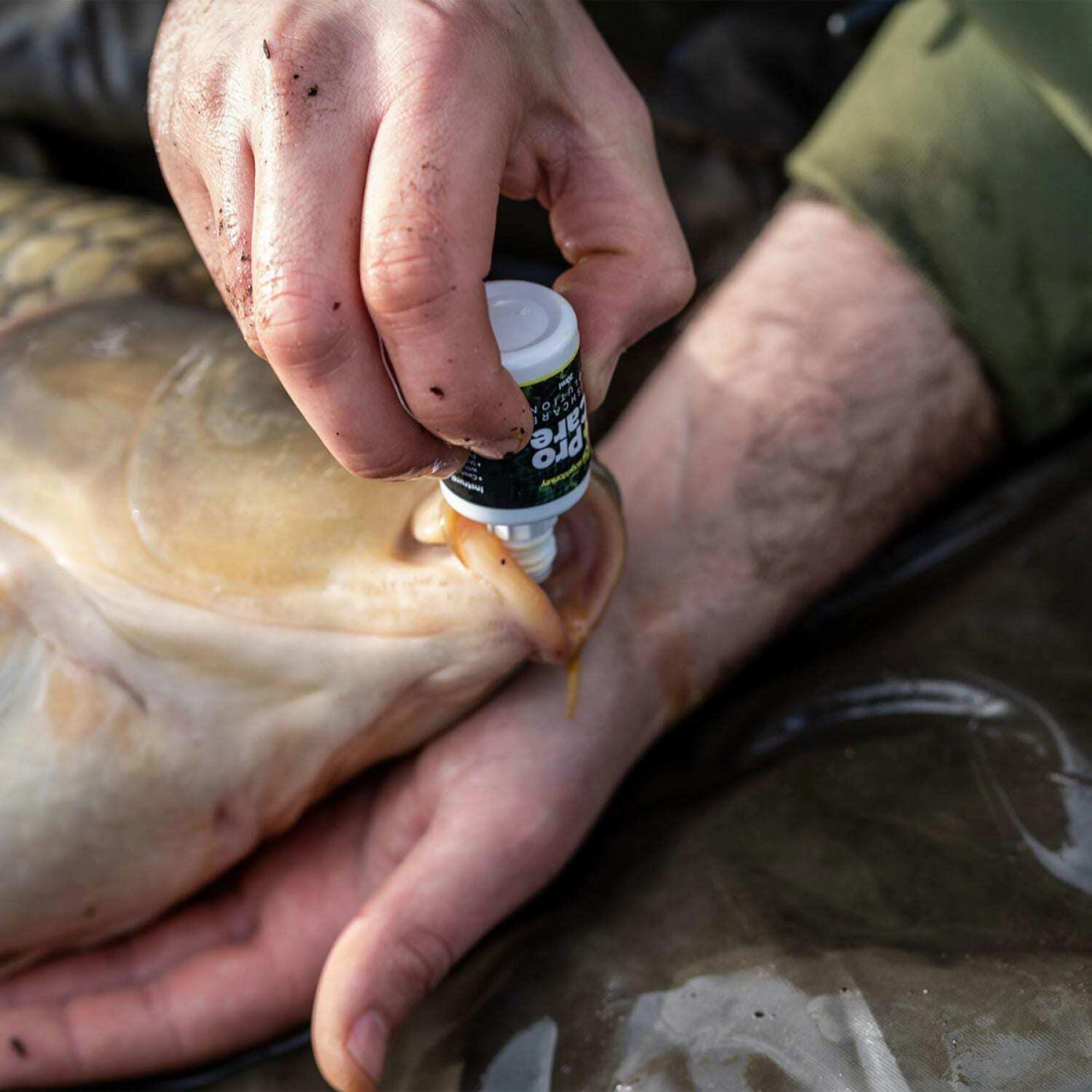 ProCare Fishcare Solution - Image 3
