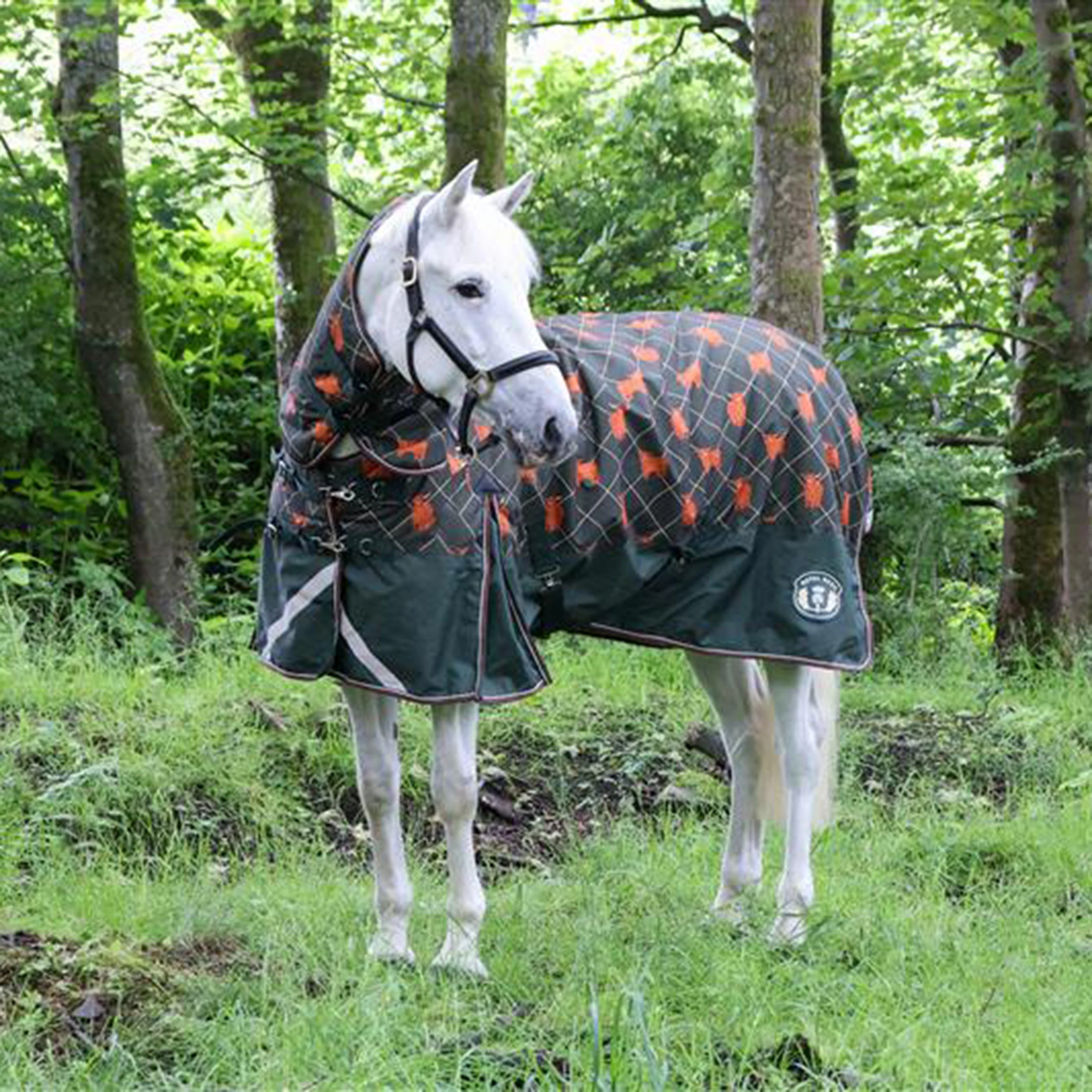 Original 100g Light Combo Neck Turnout Rug - Image 7