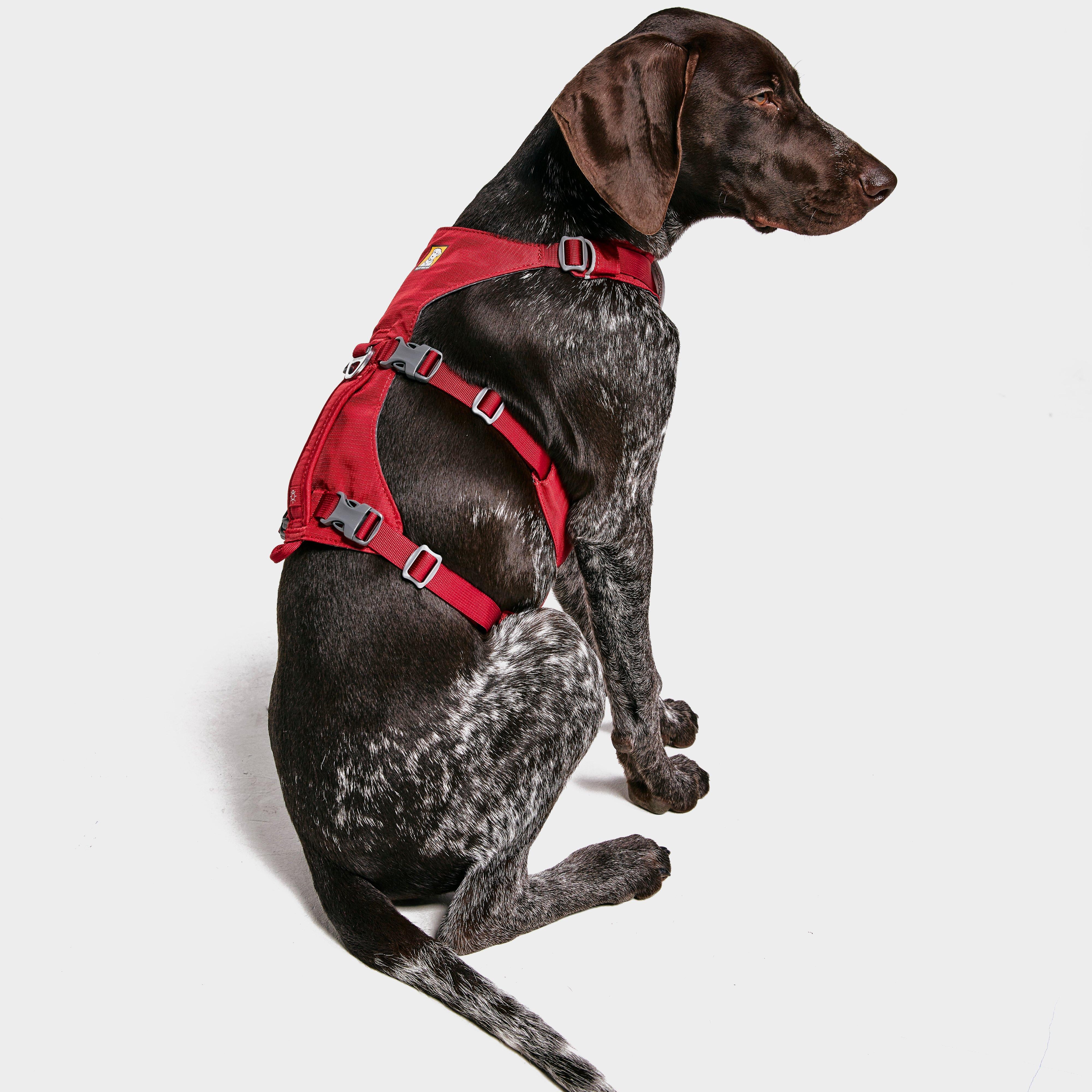 Flagline Dog Harness - Image 2
