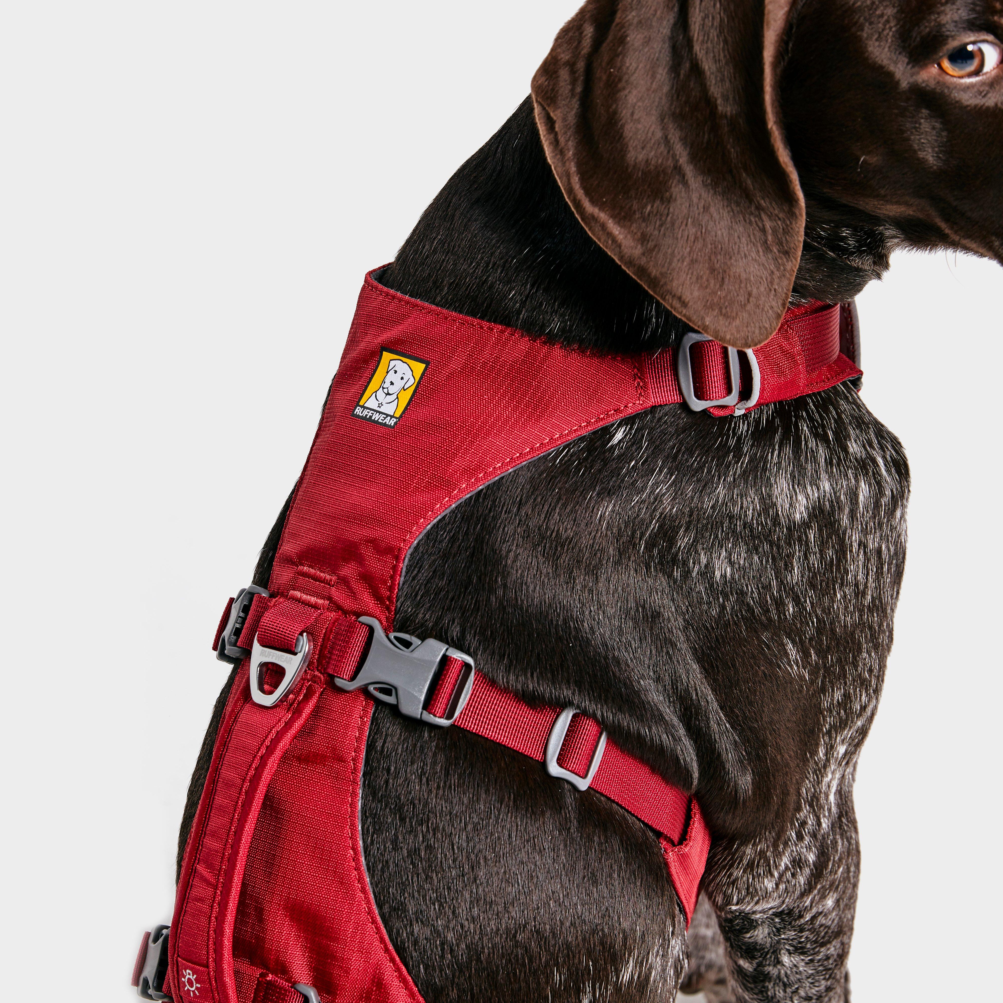 Flagline Dog Harness - Image 5