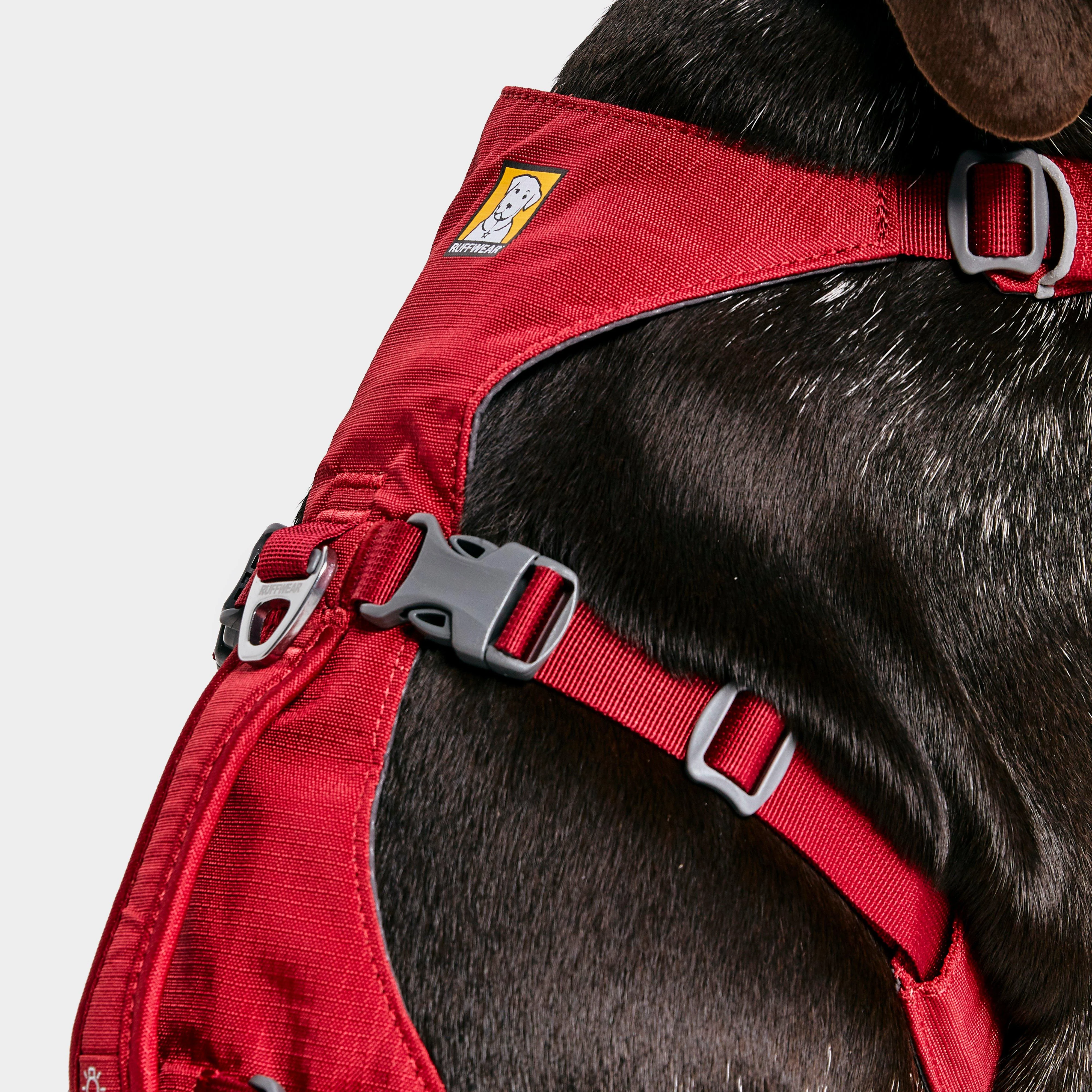 Flagline Dog Harness - Image 6