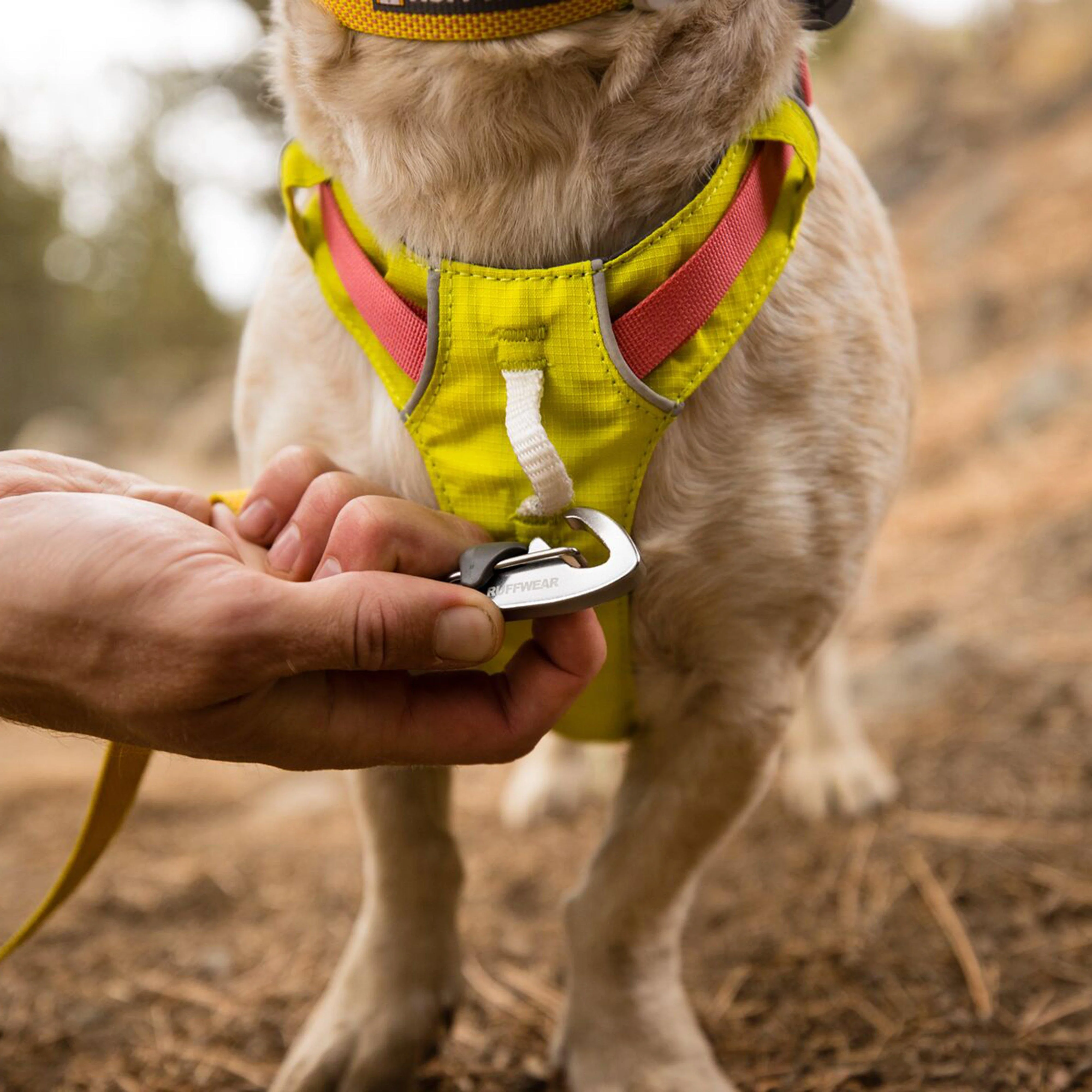 Hi & Light™ Lightweight Dog Harness - Image 16