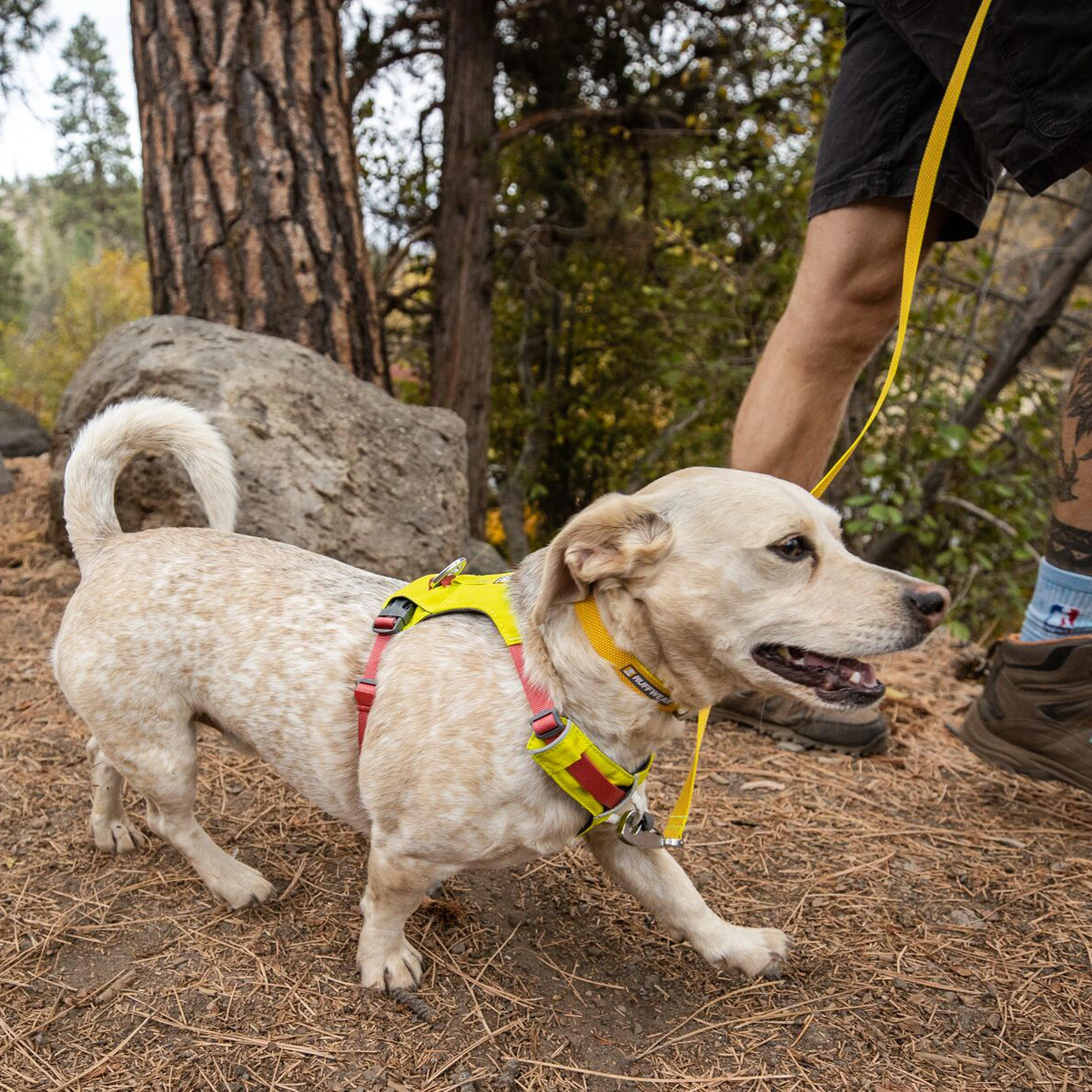 Hi & Light™ Lightweight Dog Harness - Image 17
