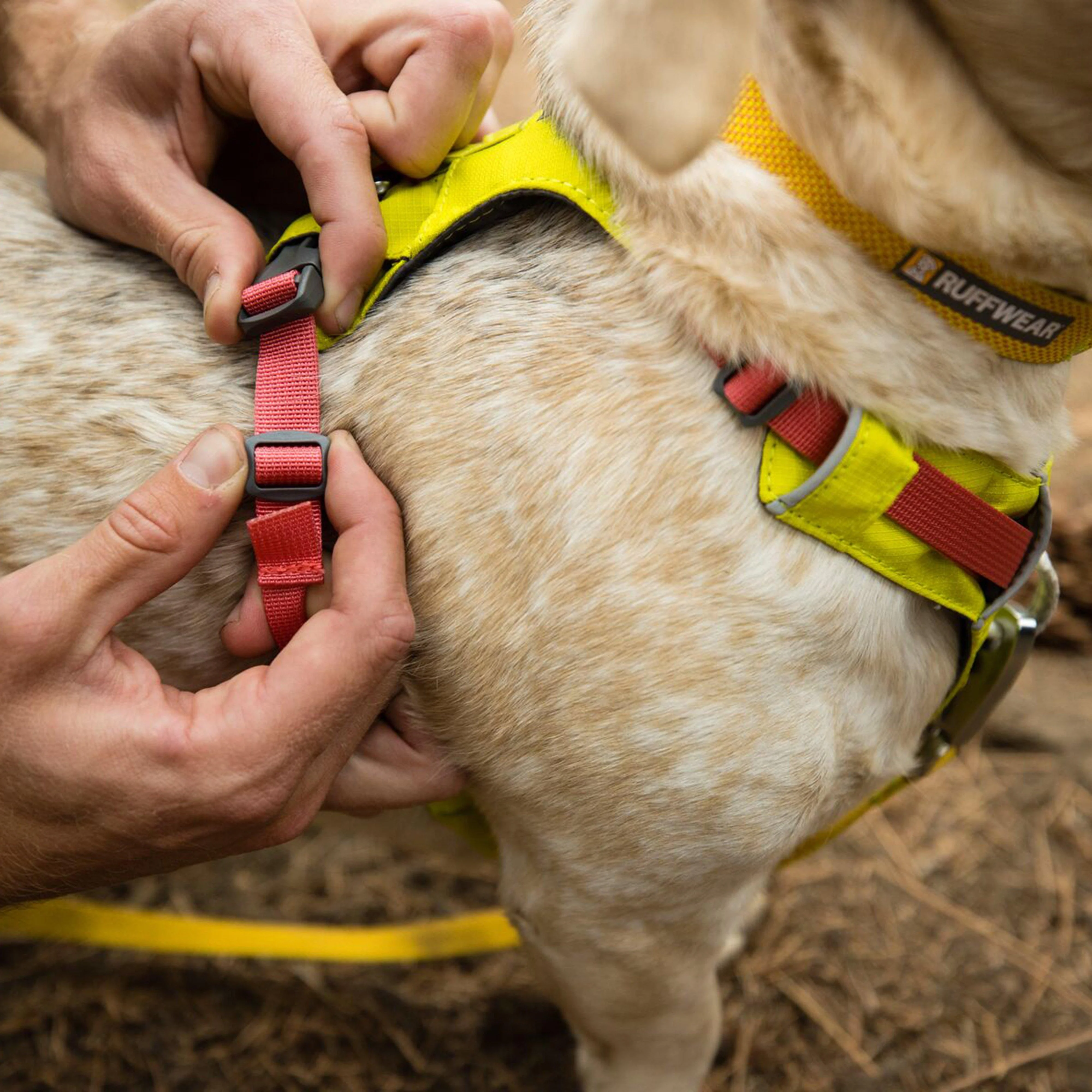 Hi & Light™ Lightweight Dog Harness - Image 6