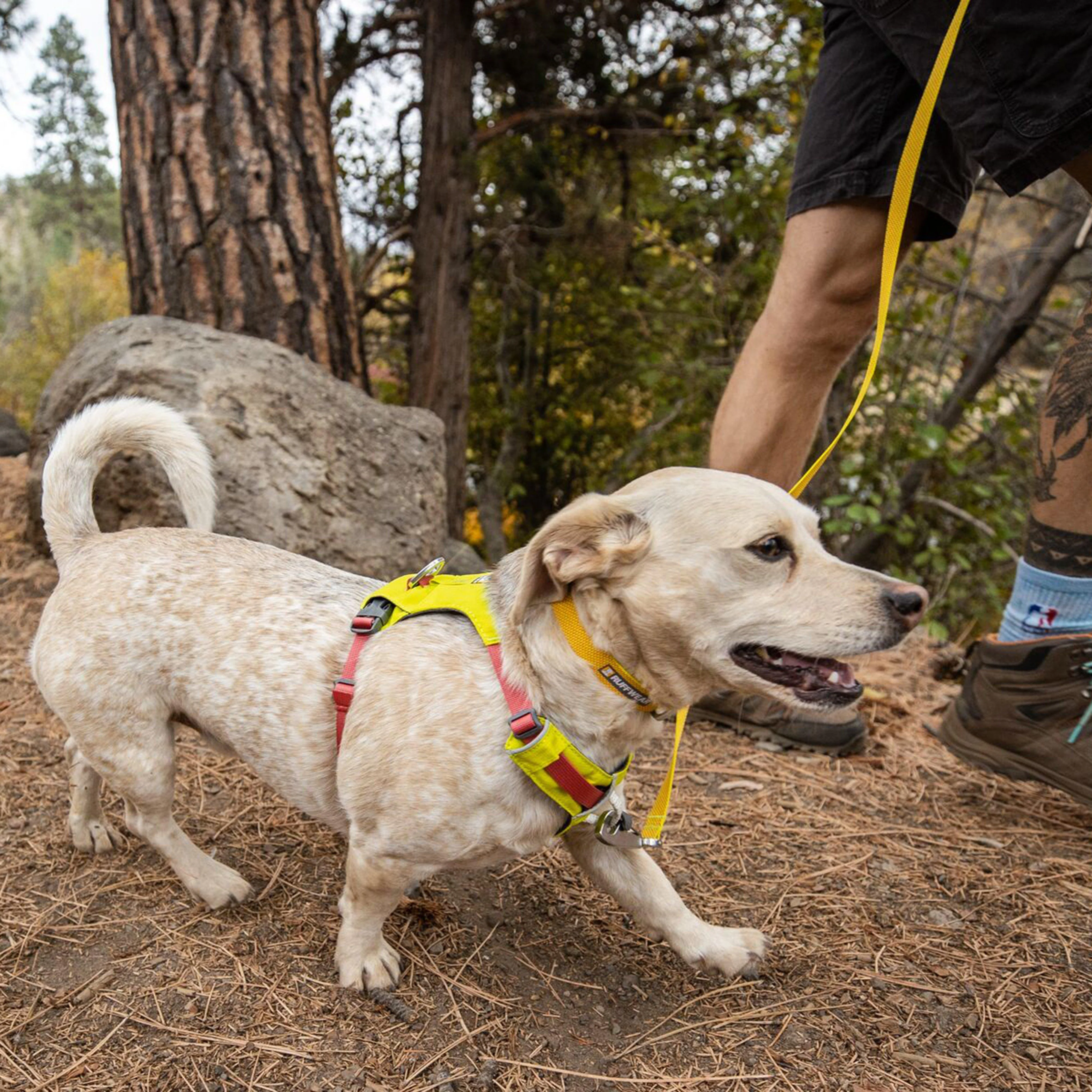 Hi & Light™ Lightweight Dog Harness - Image 8