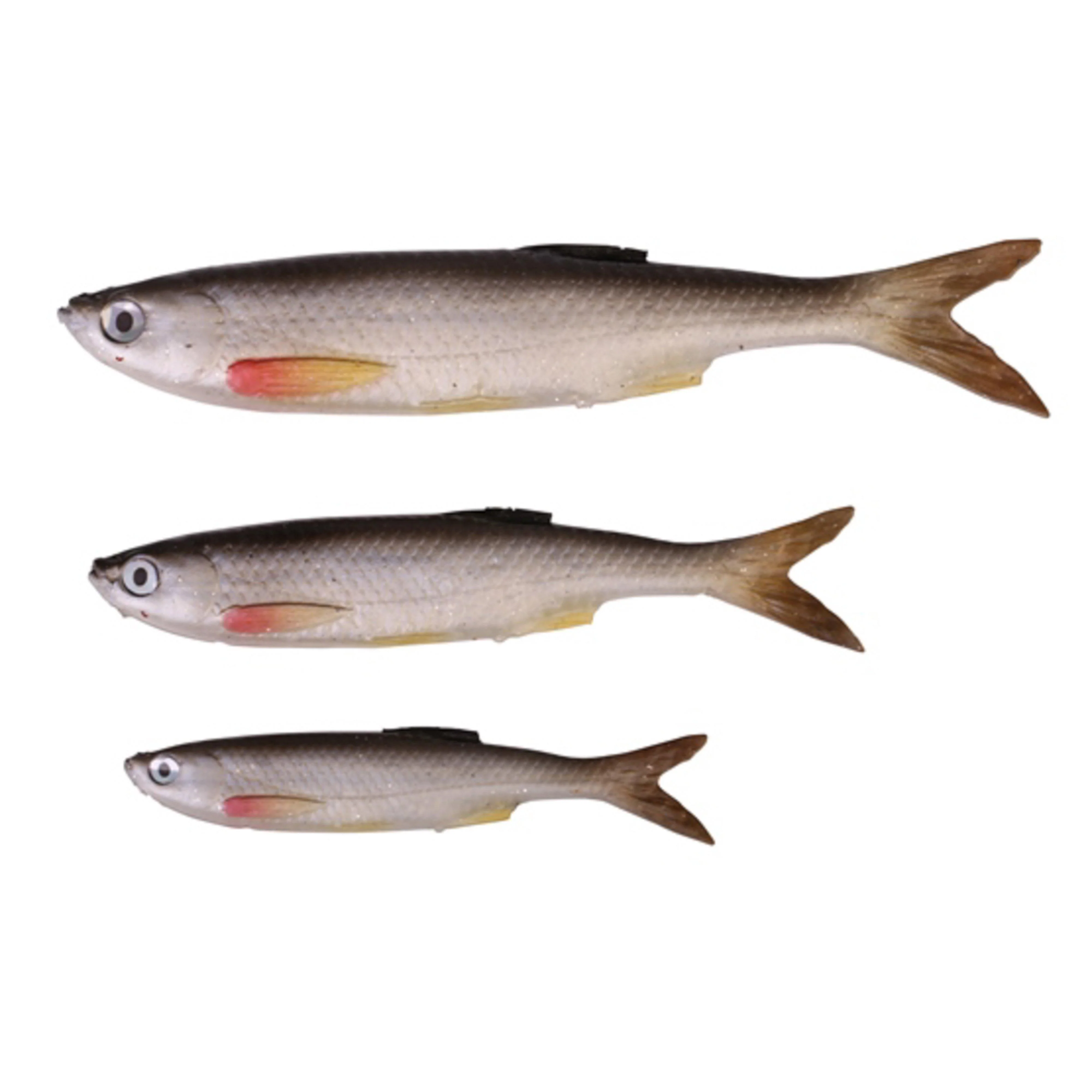 D Bleak Real Tail  8cm 3g 5pcs Bleak - Image 2