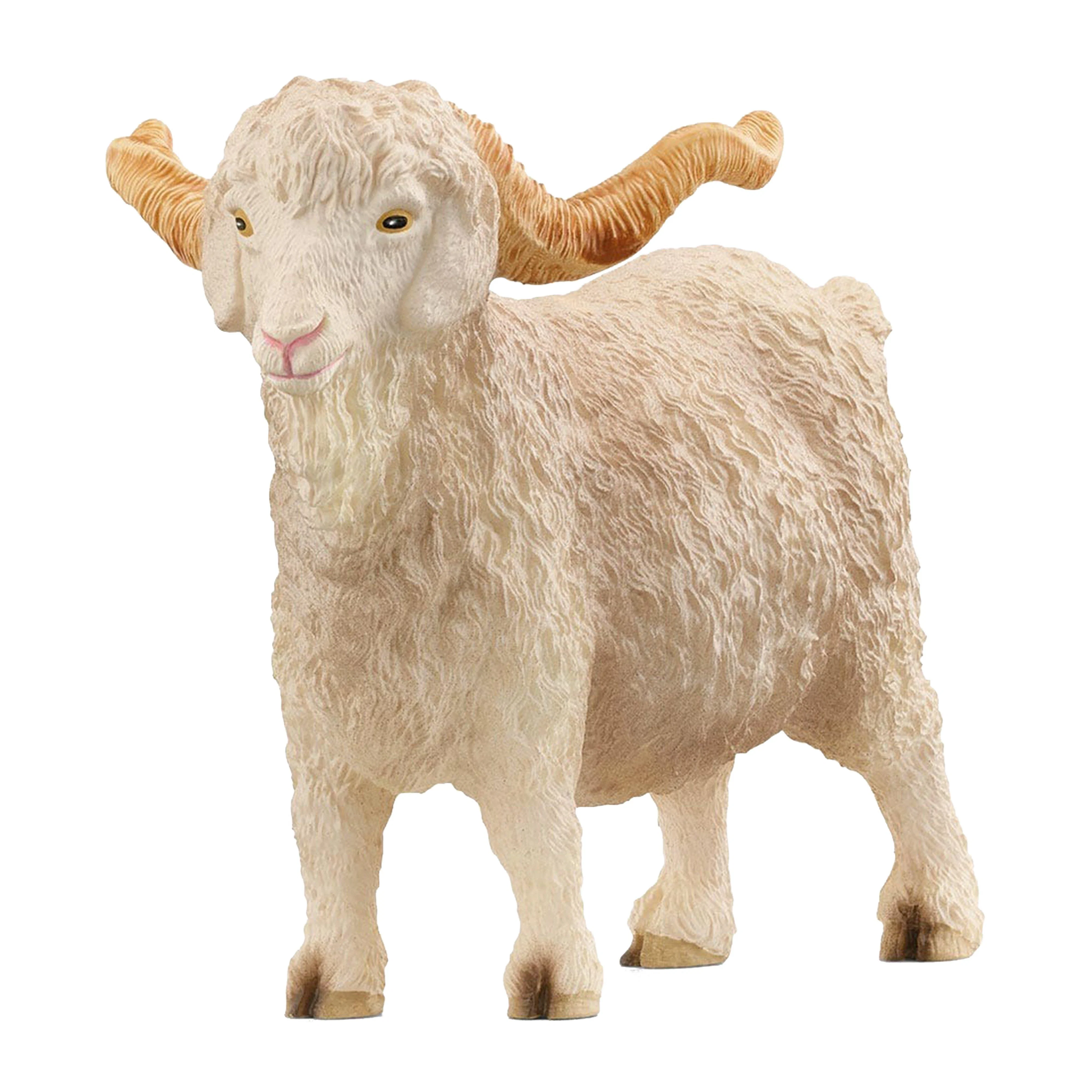 Angora Goat - Image 2