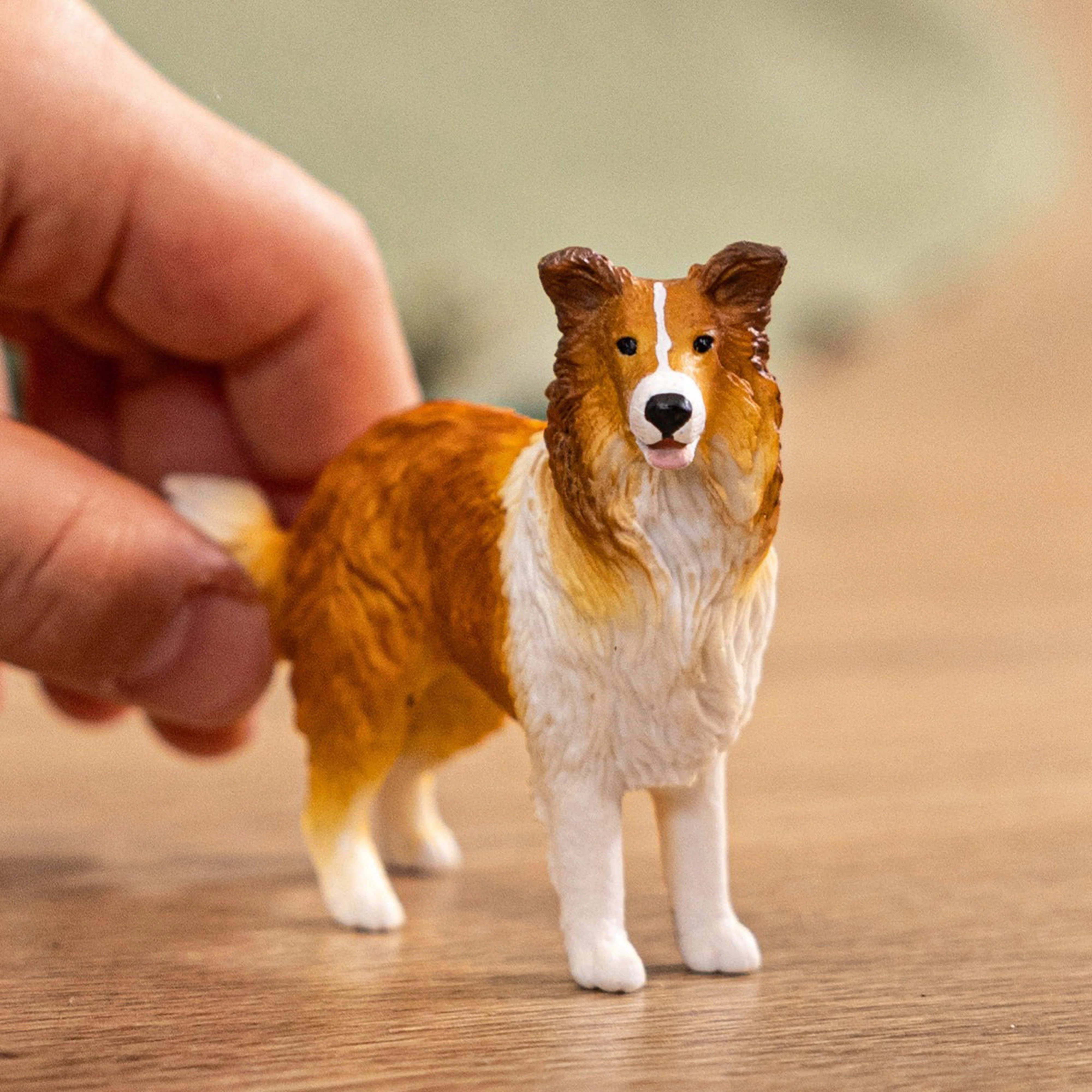 Collie Dog - Image 2