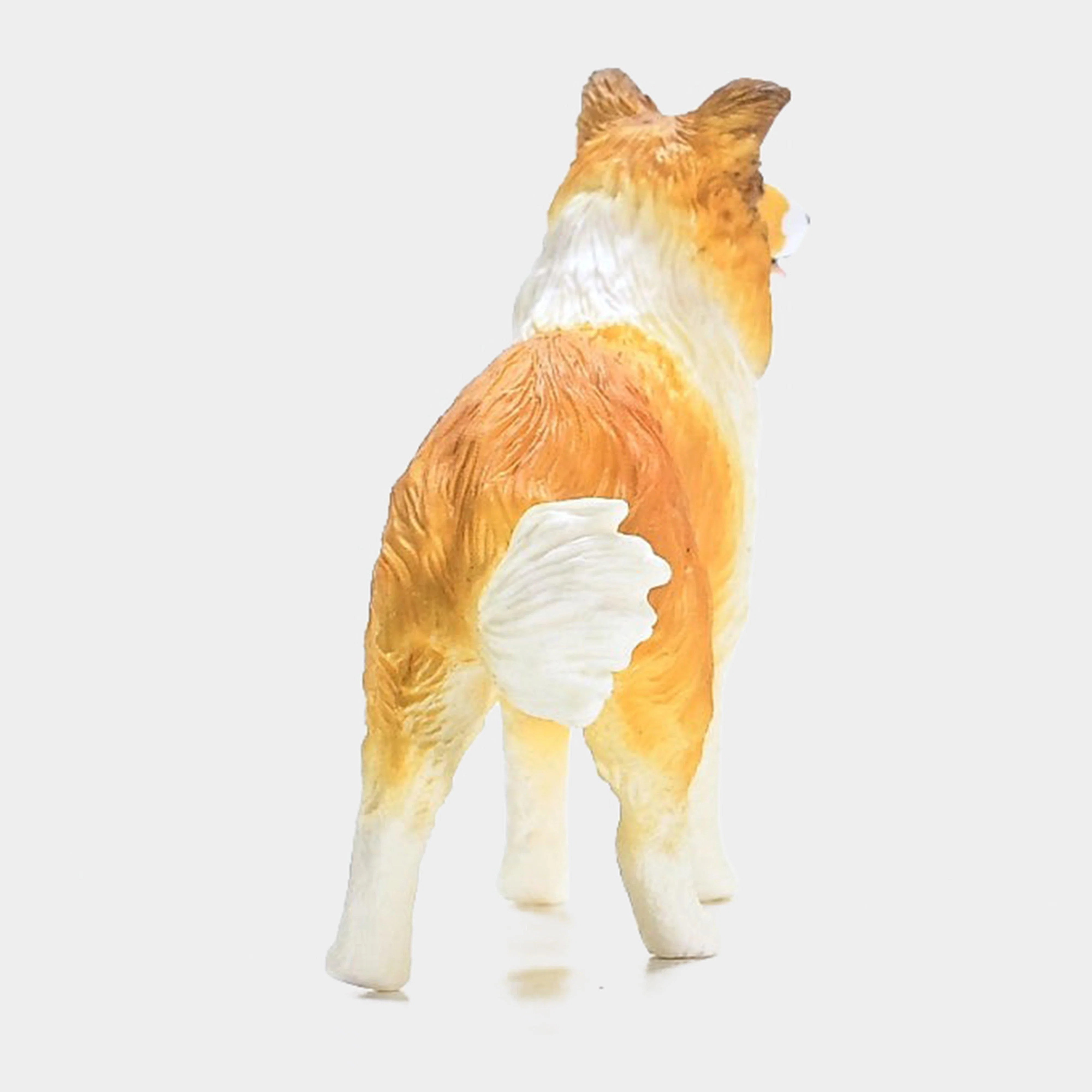 Collie Dog - Image 3