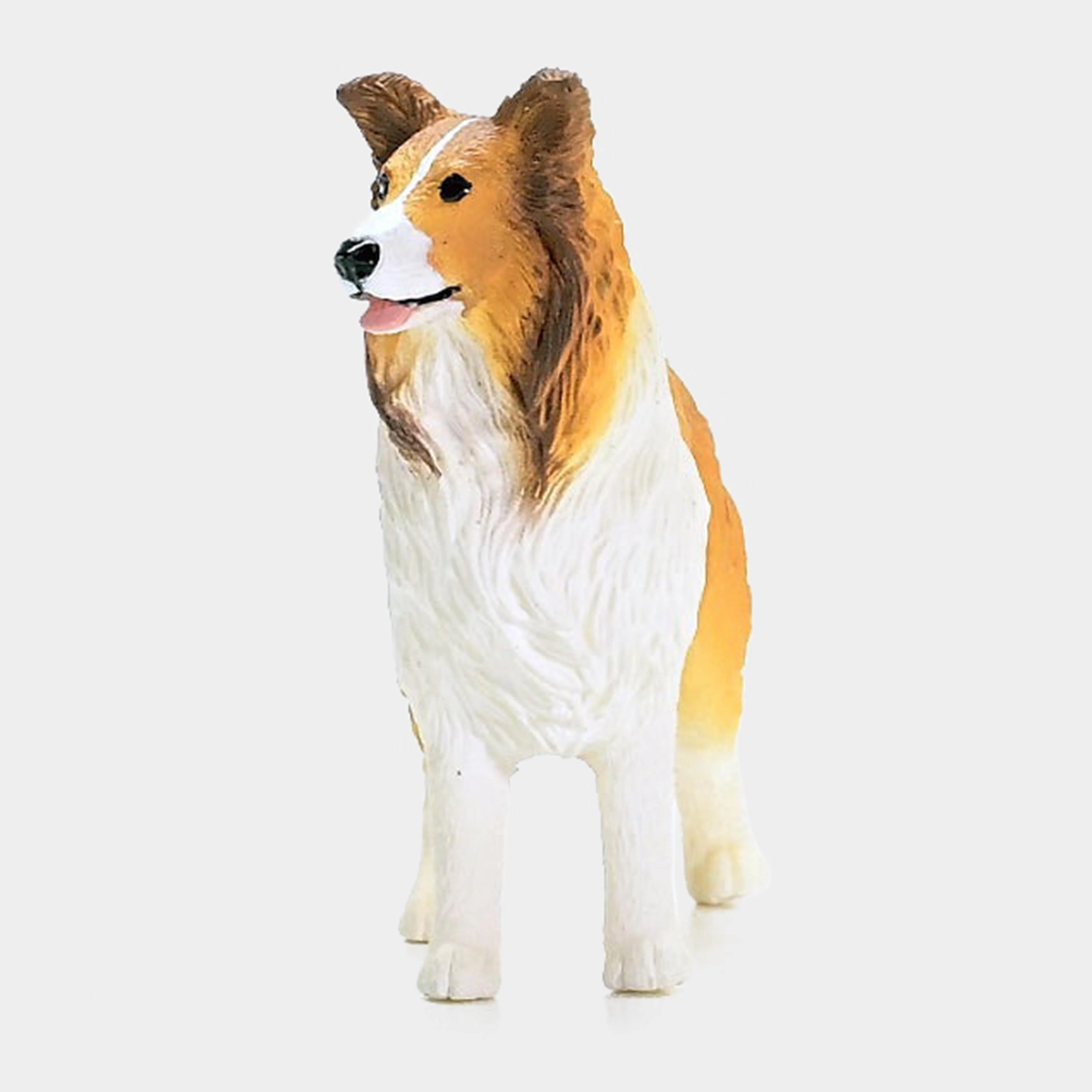 Collie Dog - Image 4