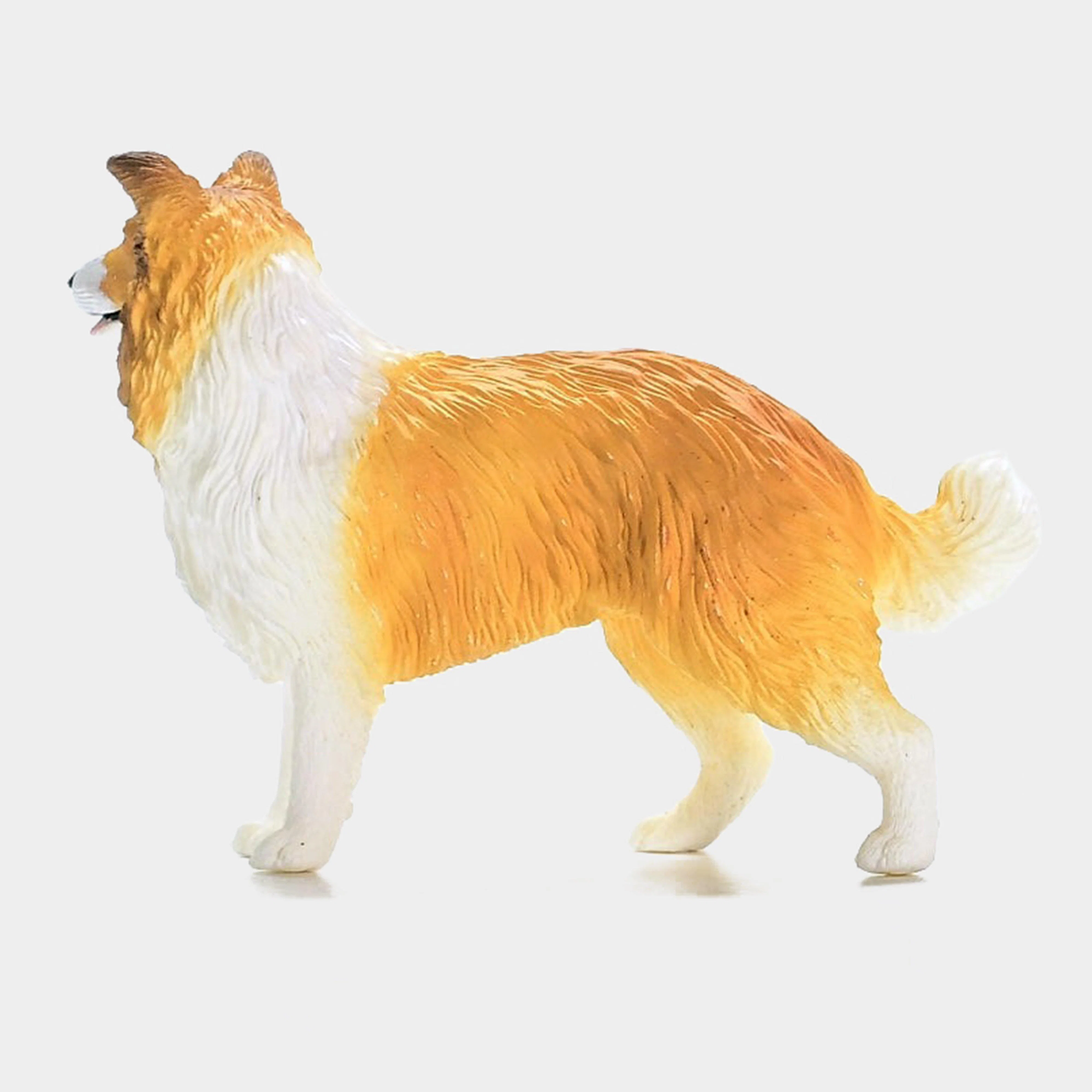 Collie Dog - Image 5