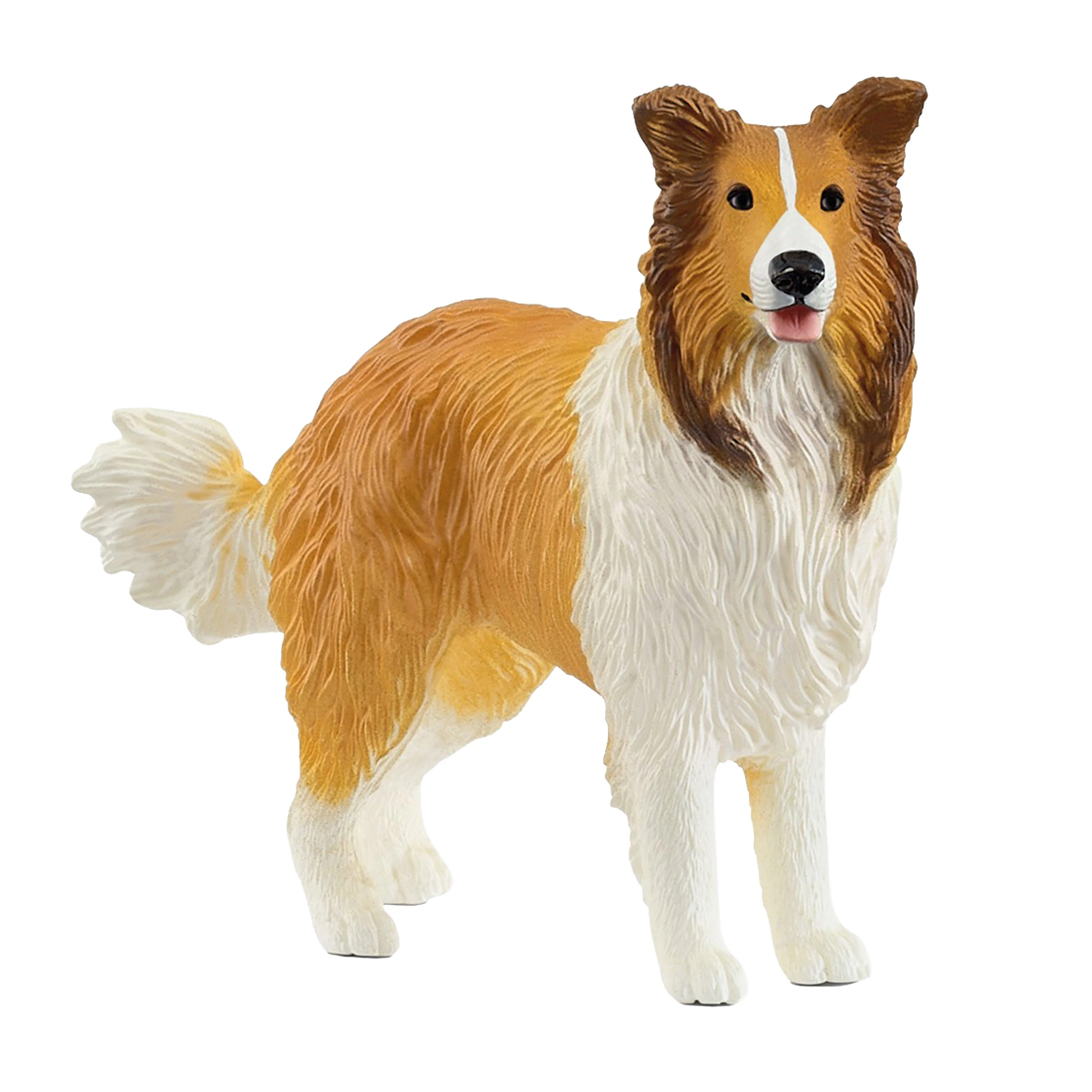 Collie Dog - Image 6