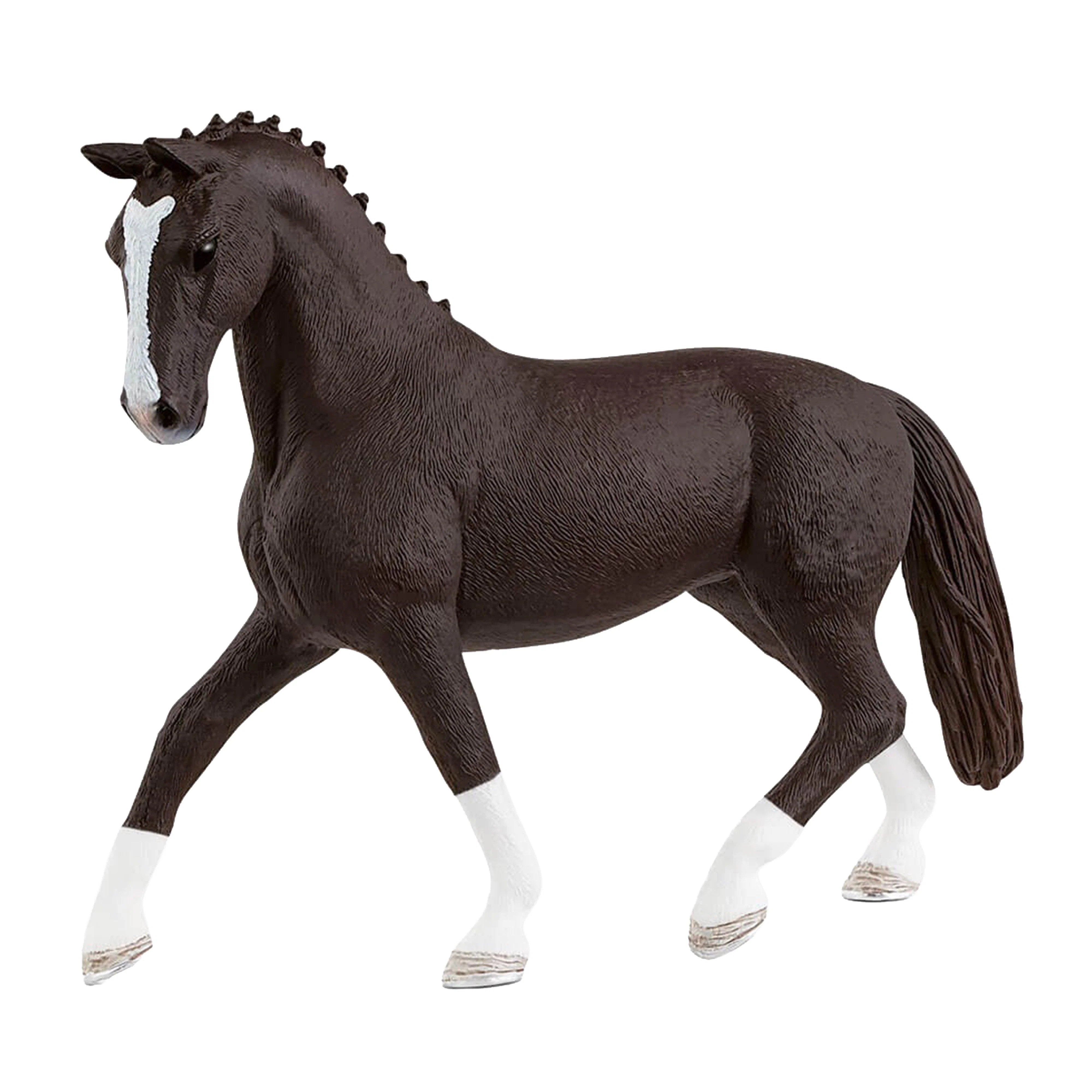 Hanoverian Mare - Image 2