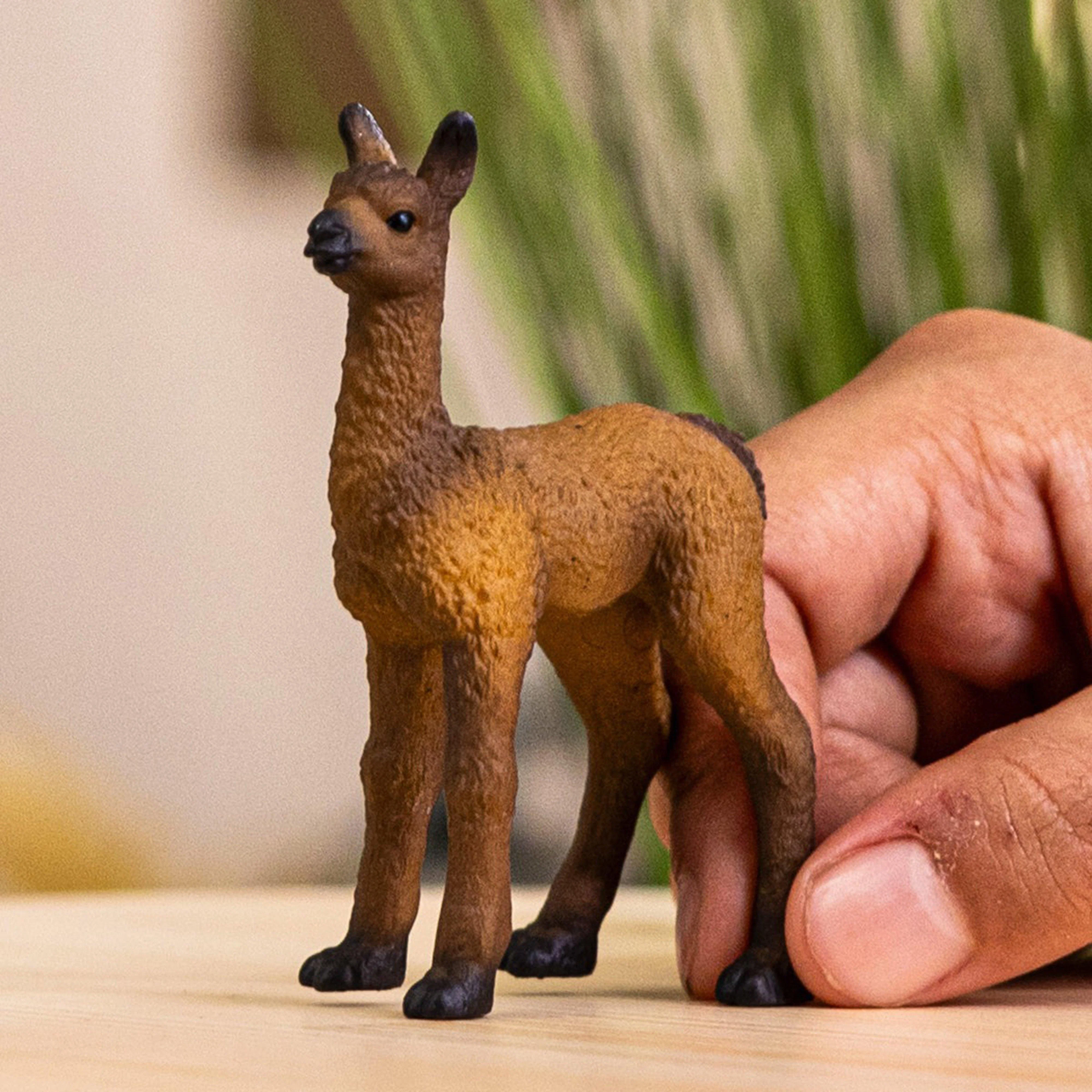 Llama Foal - Image 2