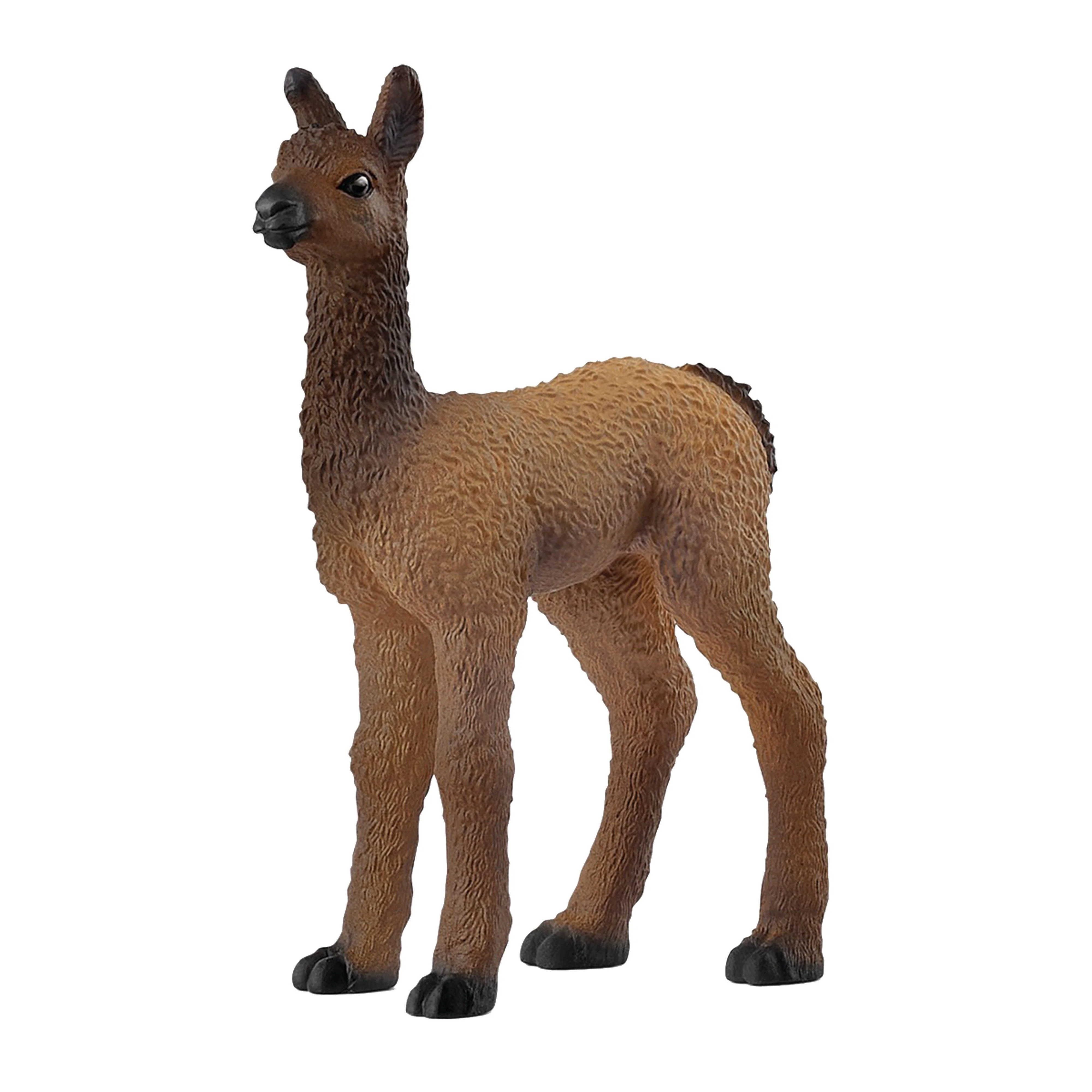 Llama Foal - Image 3