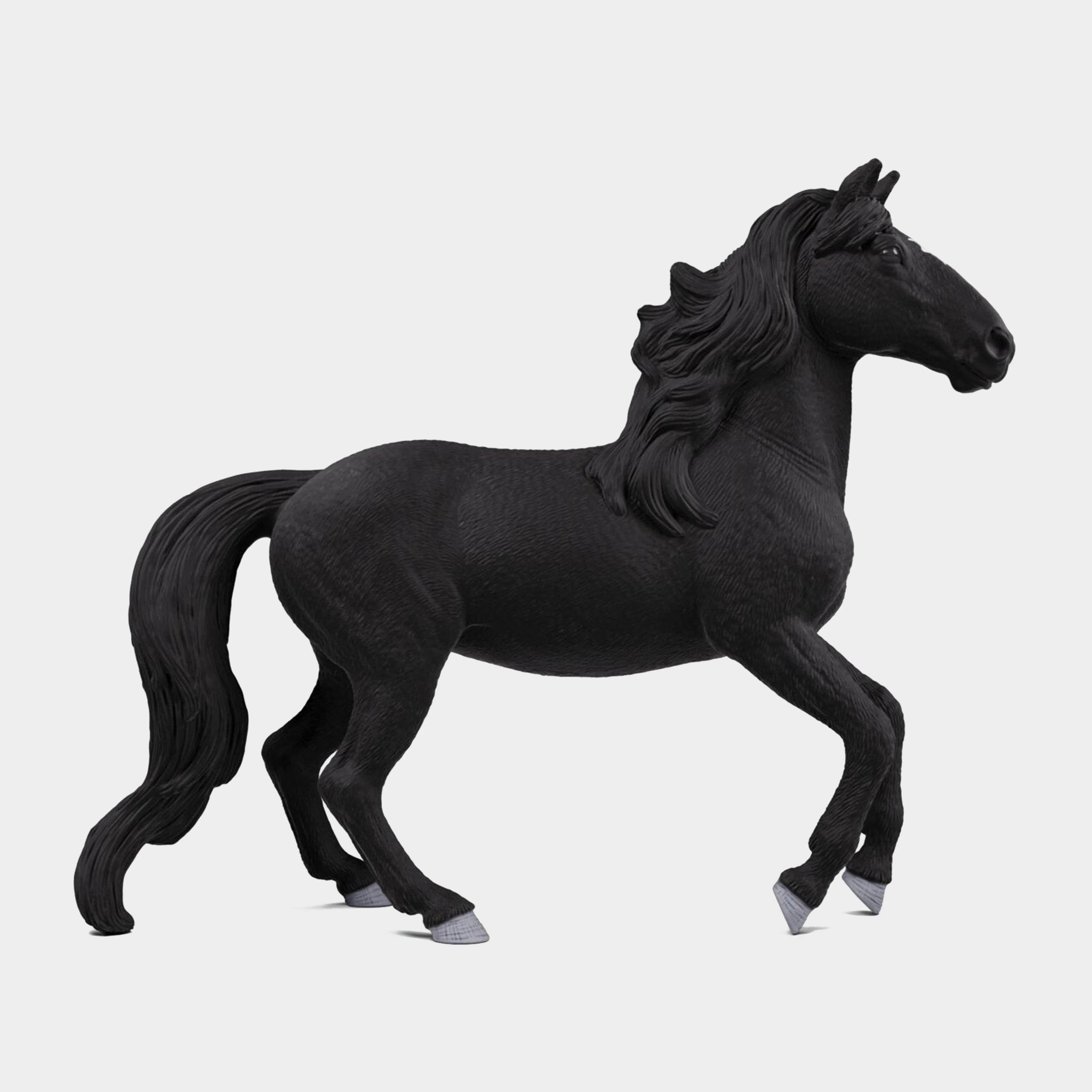 Lusitano Stallion - Image 3