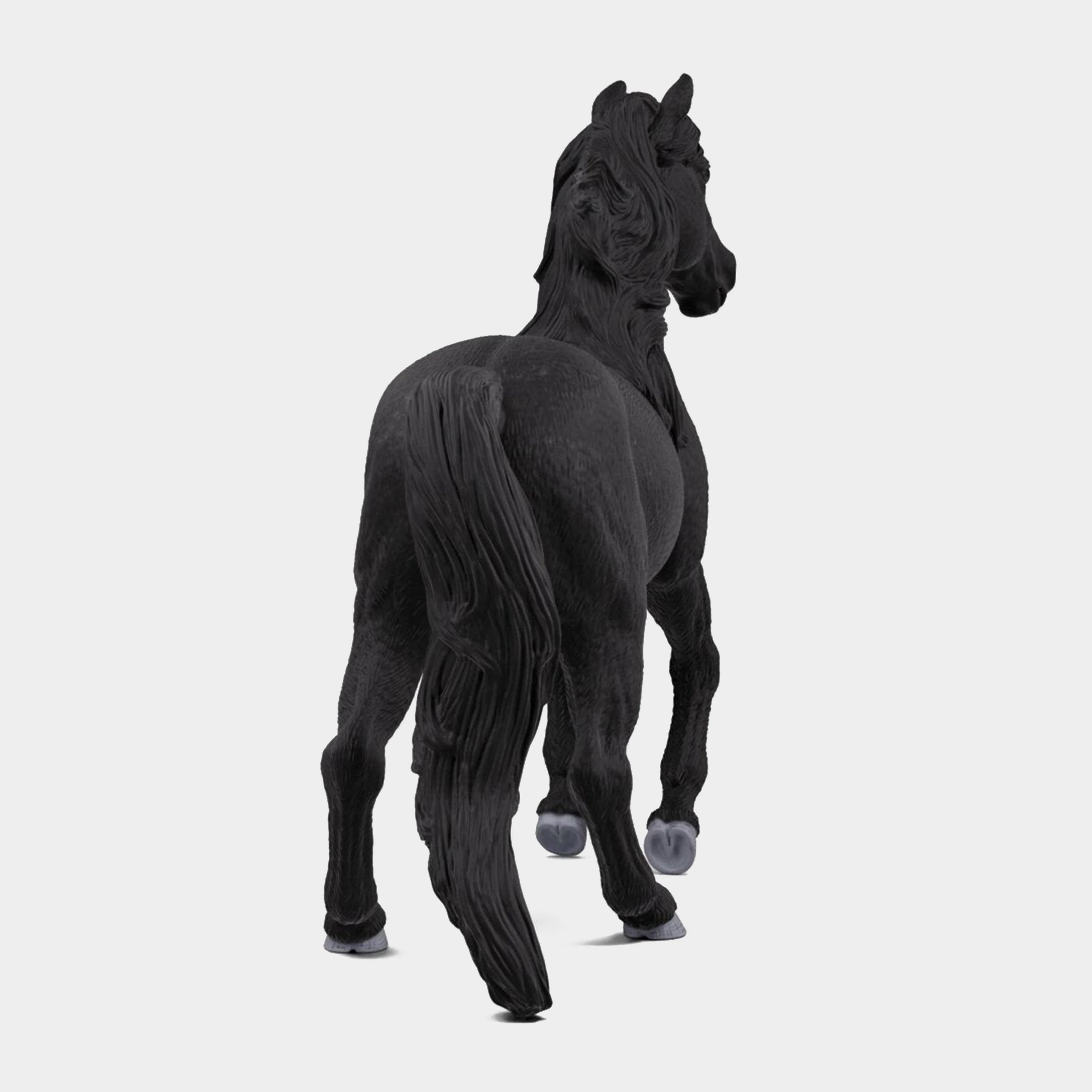 Lusitano Stallion - Image 4