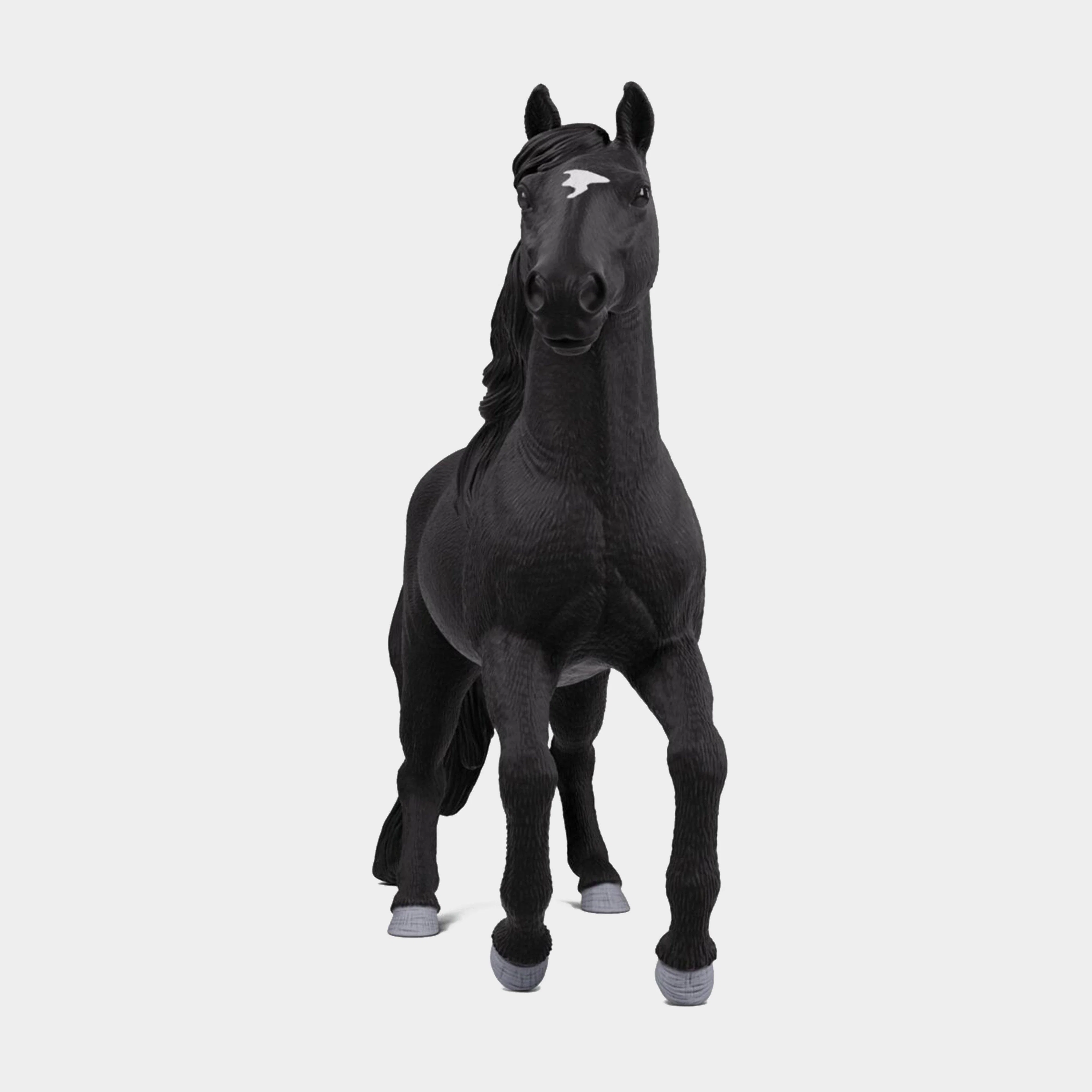 Lusitano Stallion - Image 5