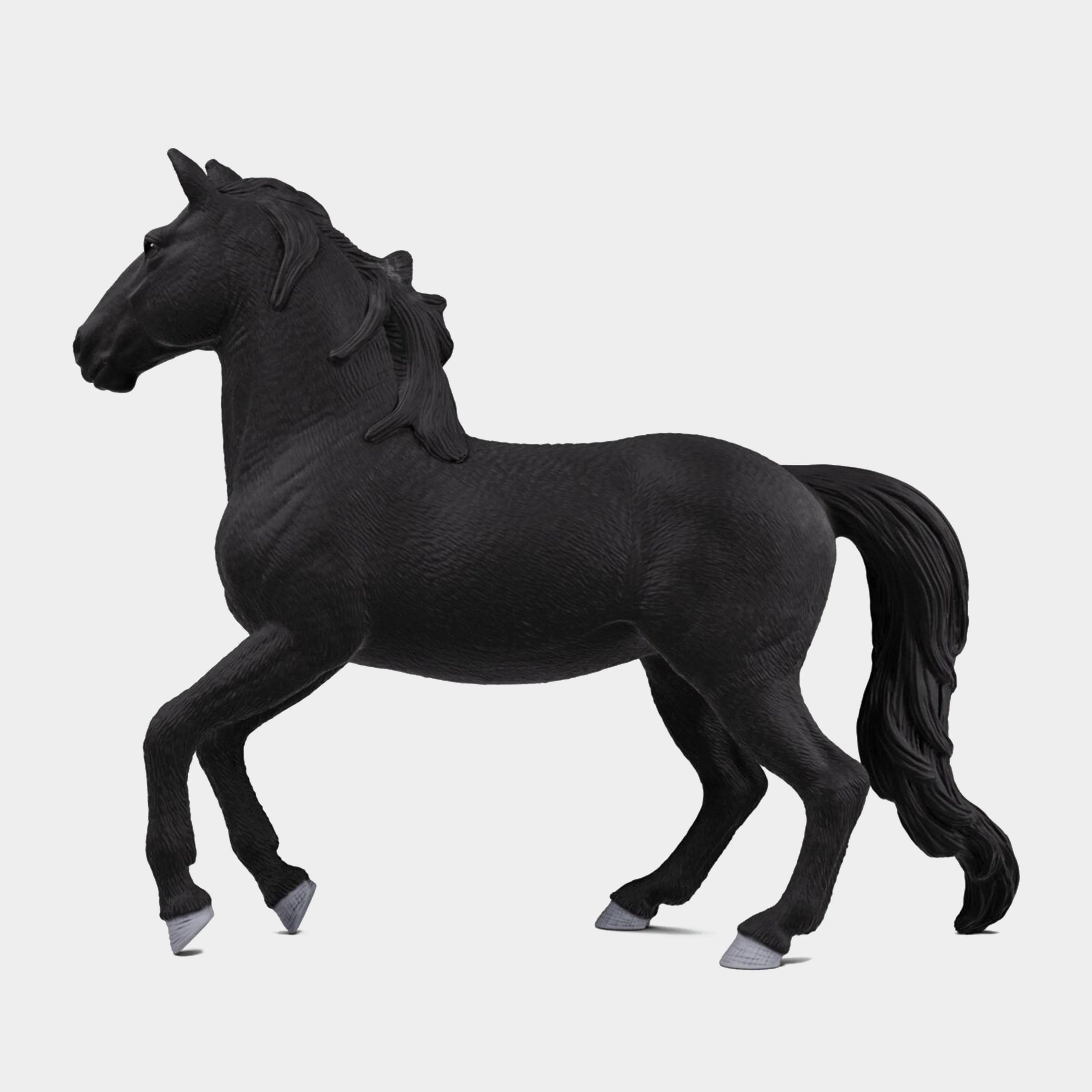 Lusitano Stallion - Image 6