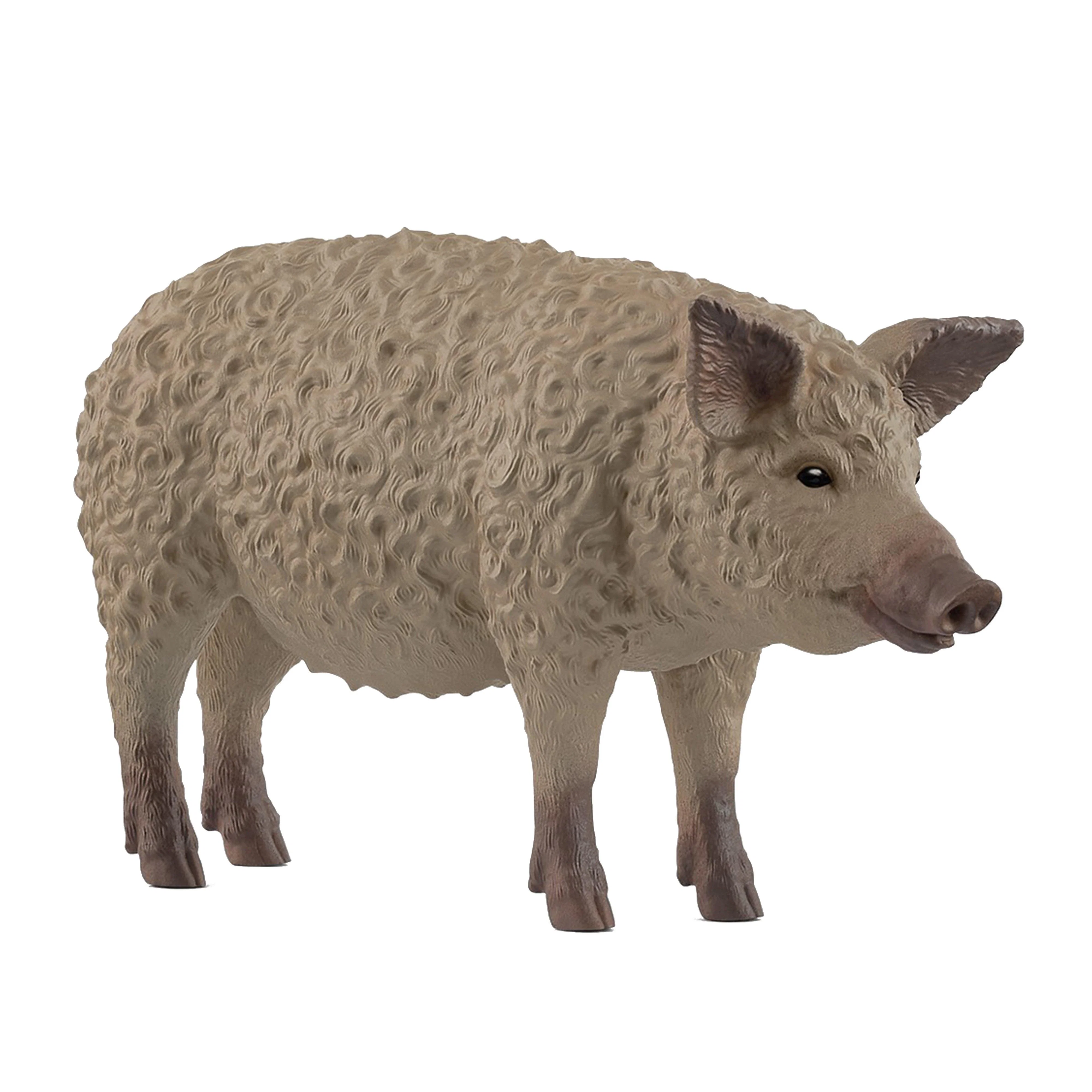 Mangalica Pig - Image 3
