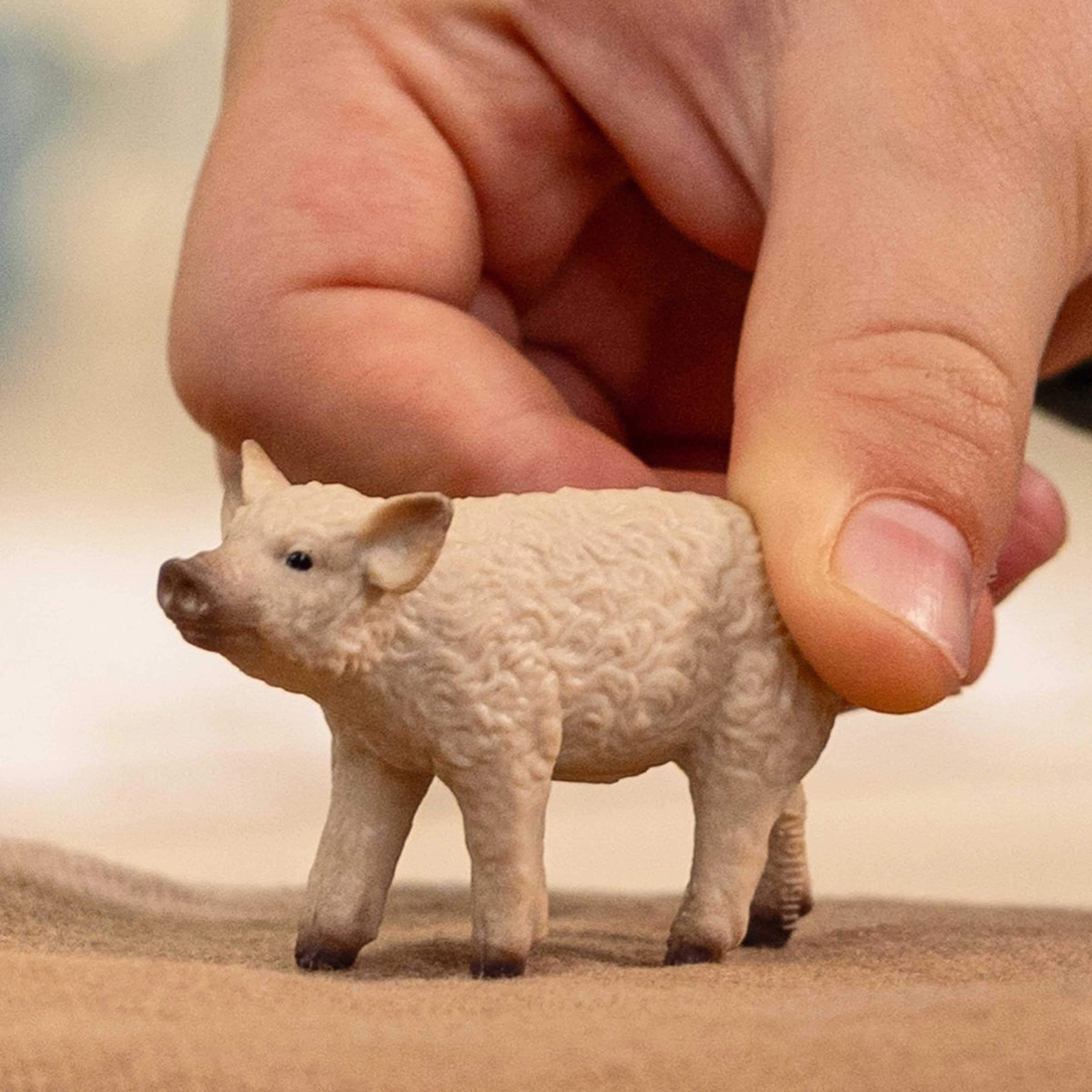 Mangalica Piglet - Image 2