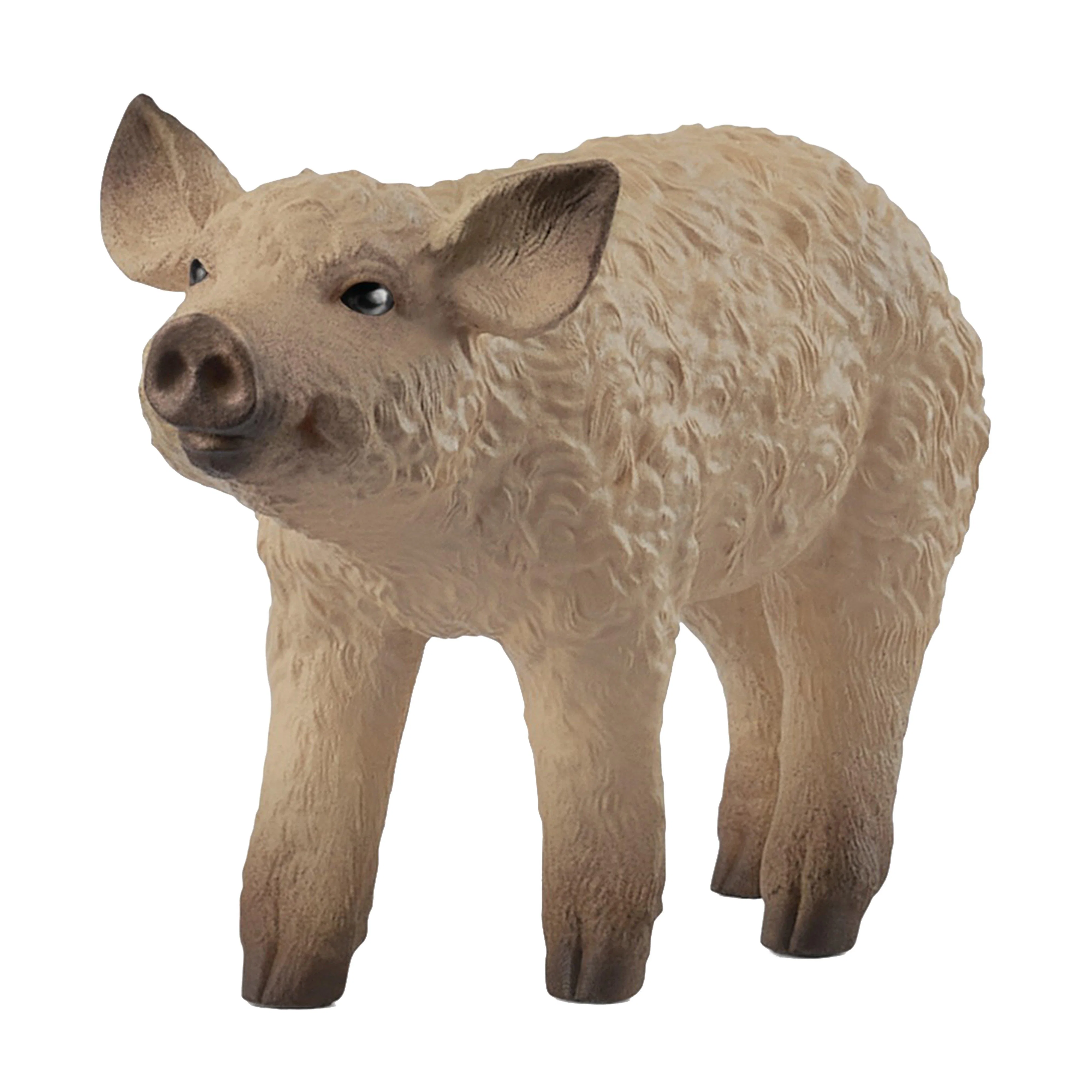 Mangalica Piglet - Image 3