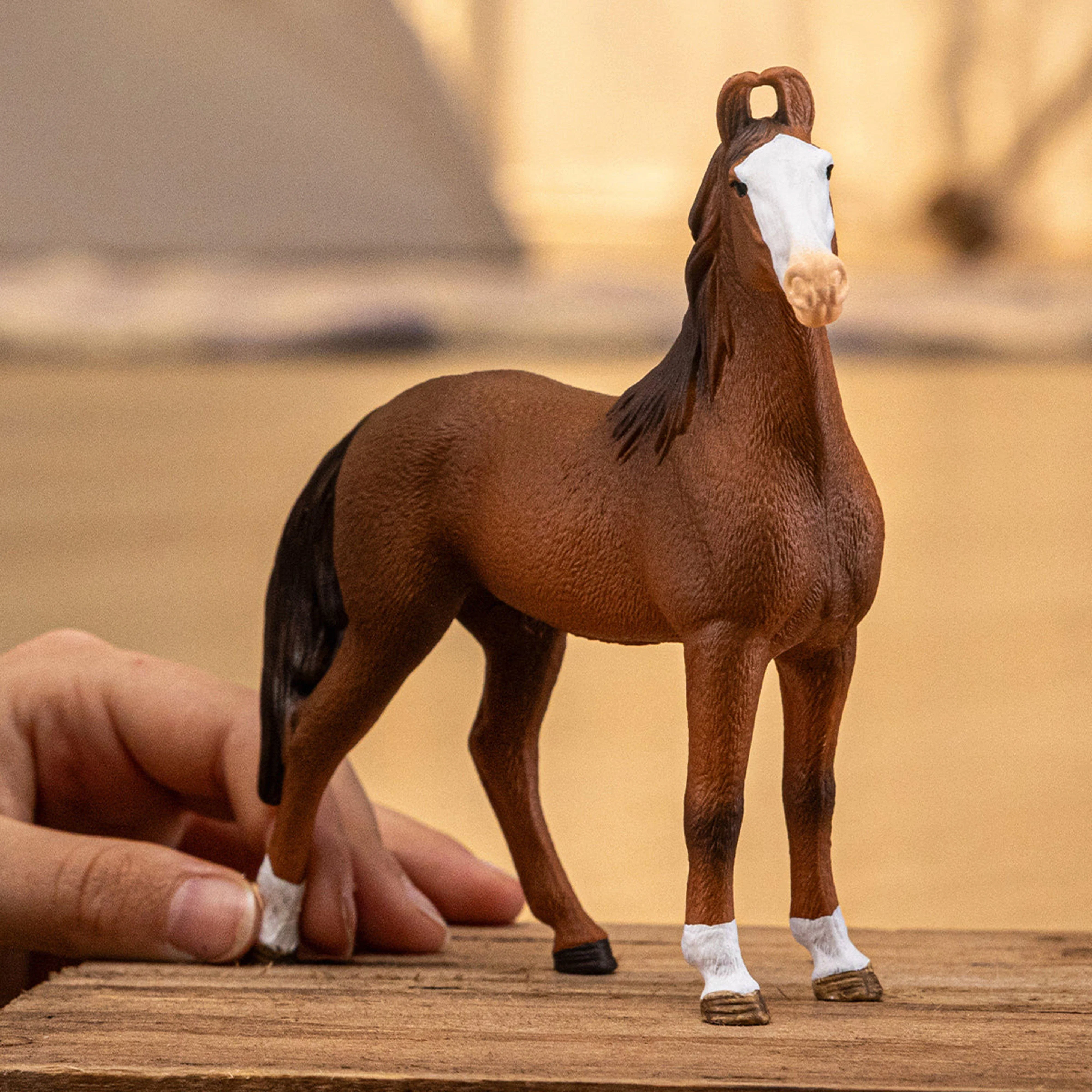 Marwari Mare - Image 2