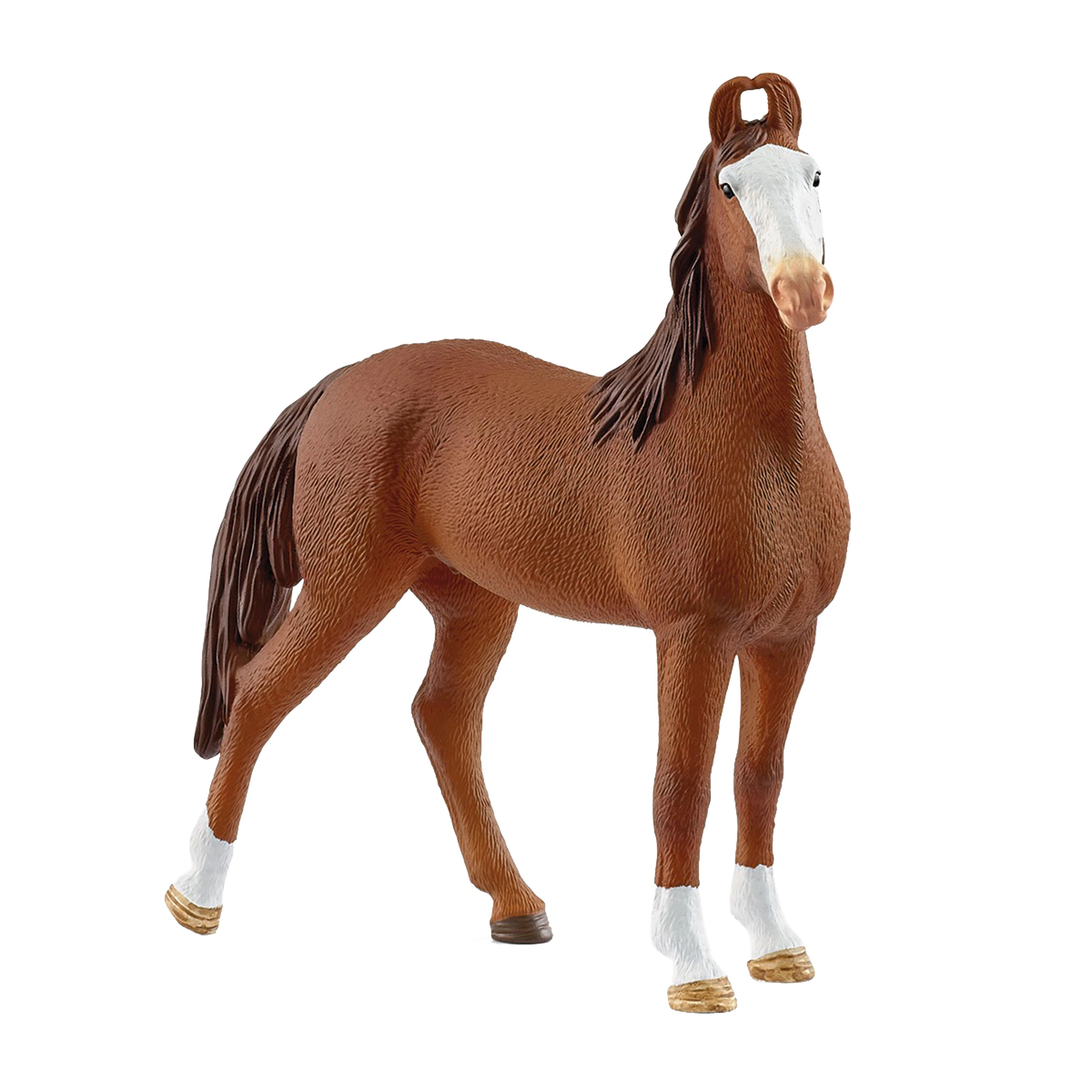 Marwari Mare - Image 3