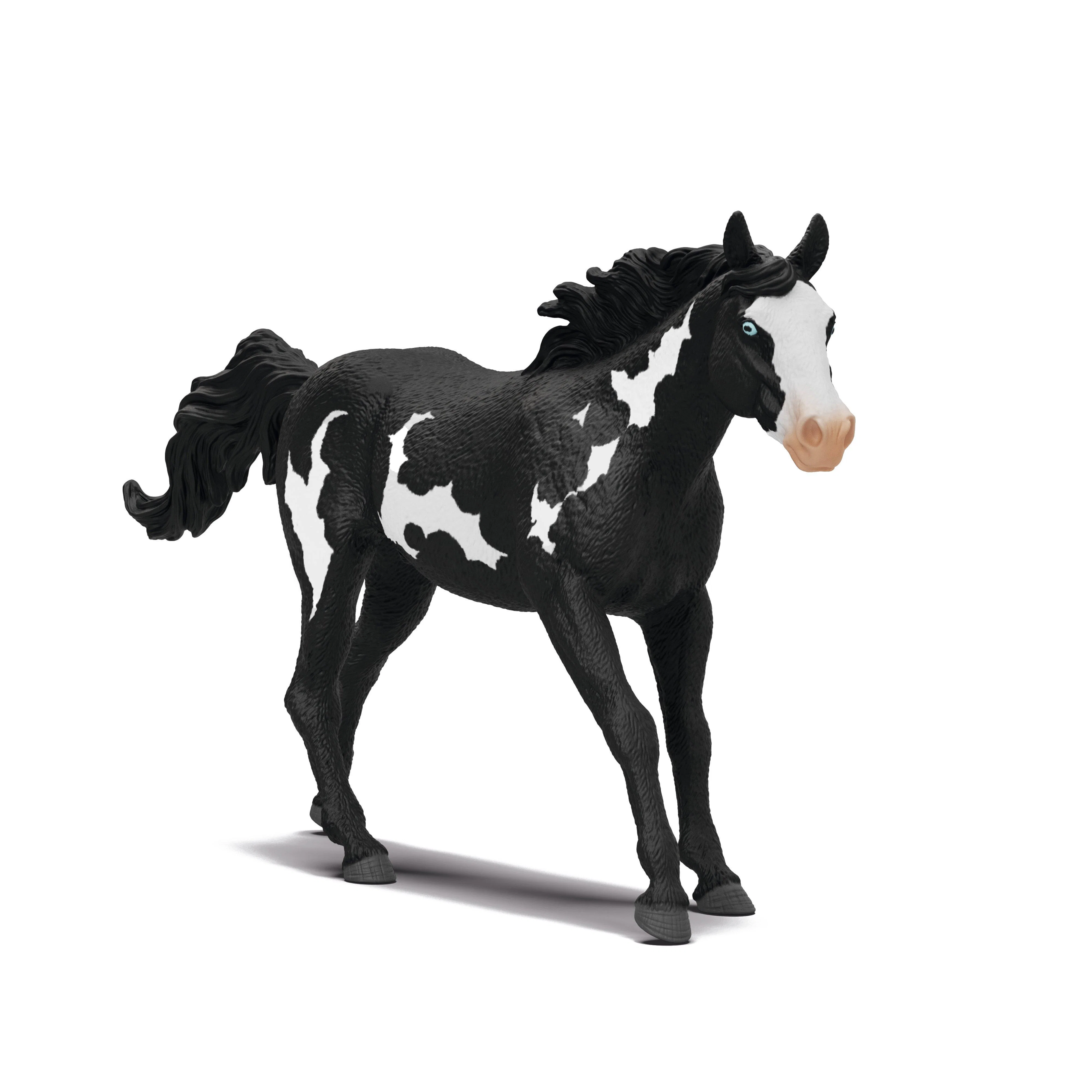 Paint Horse Gelding - Image 3