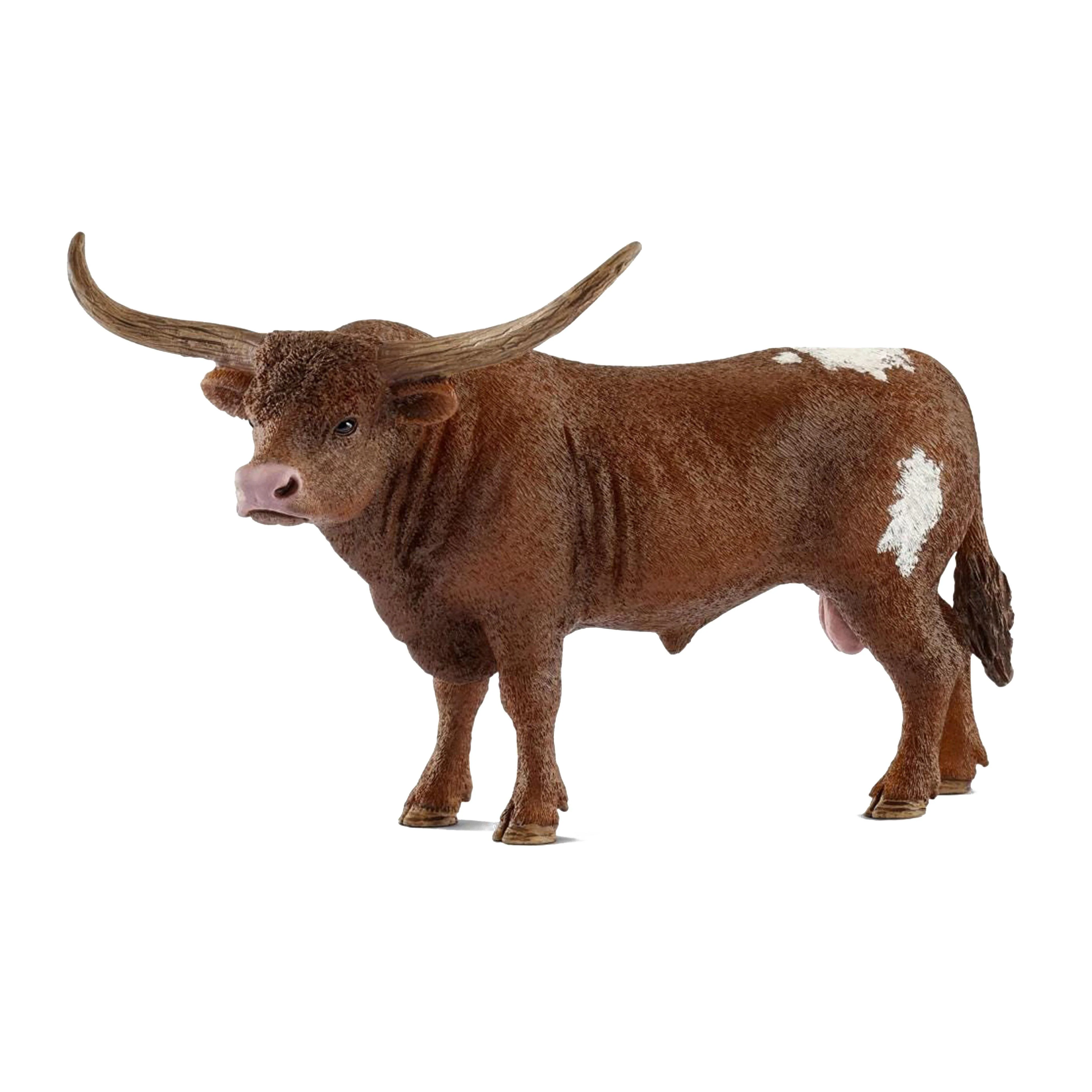 Texas Longhorn bull - Image 2