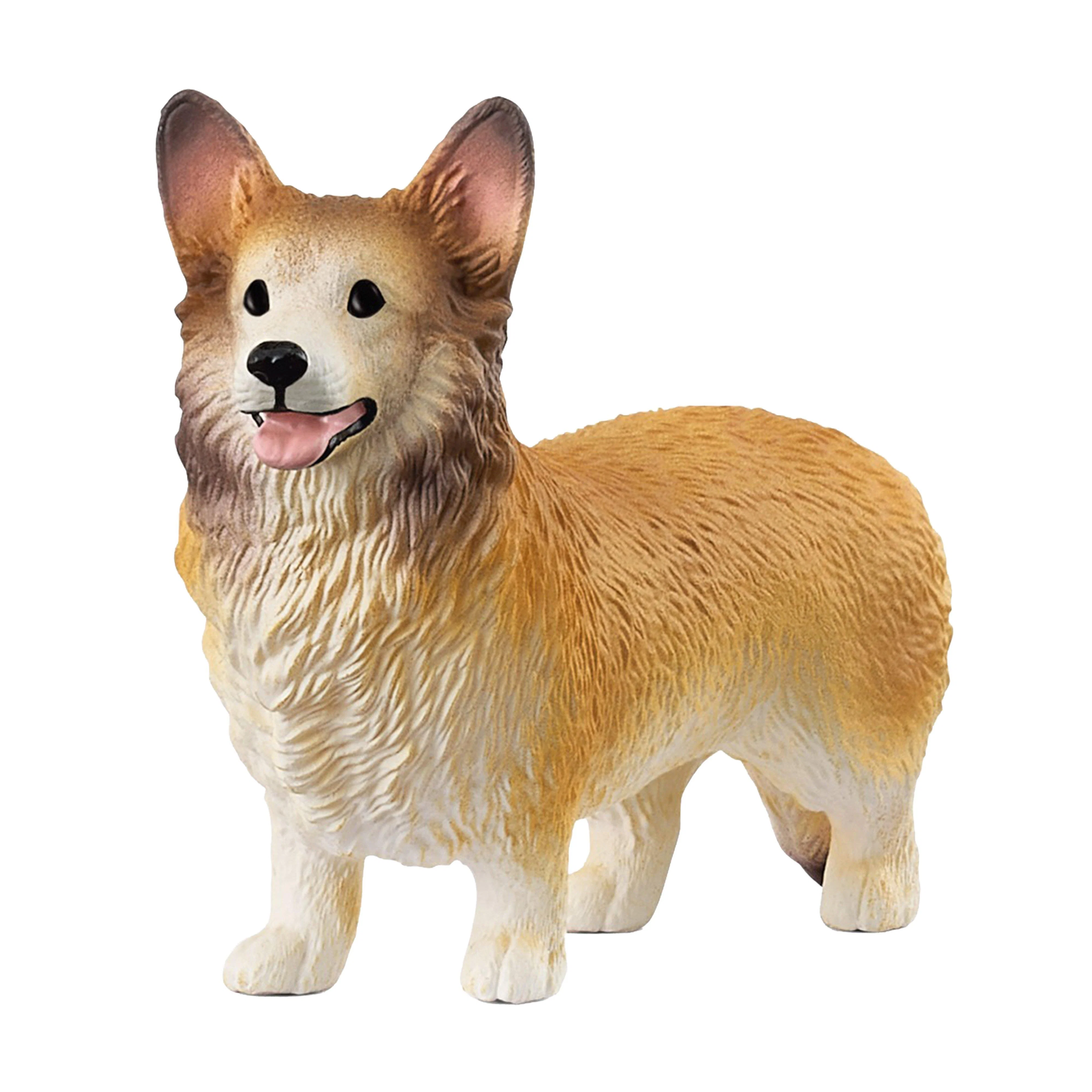 Welsh Corgi - Image 3