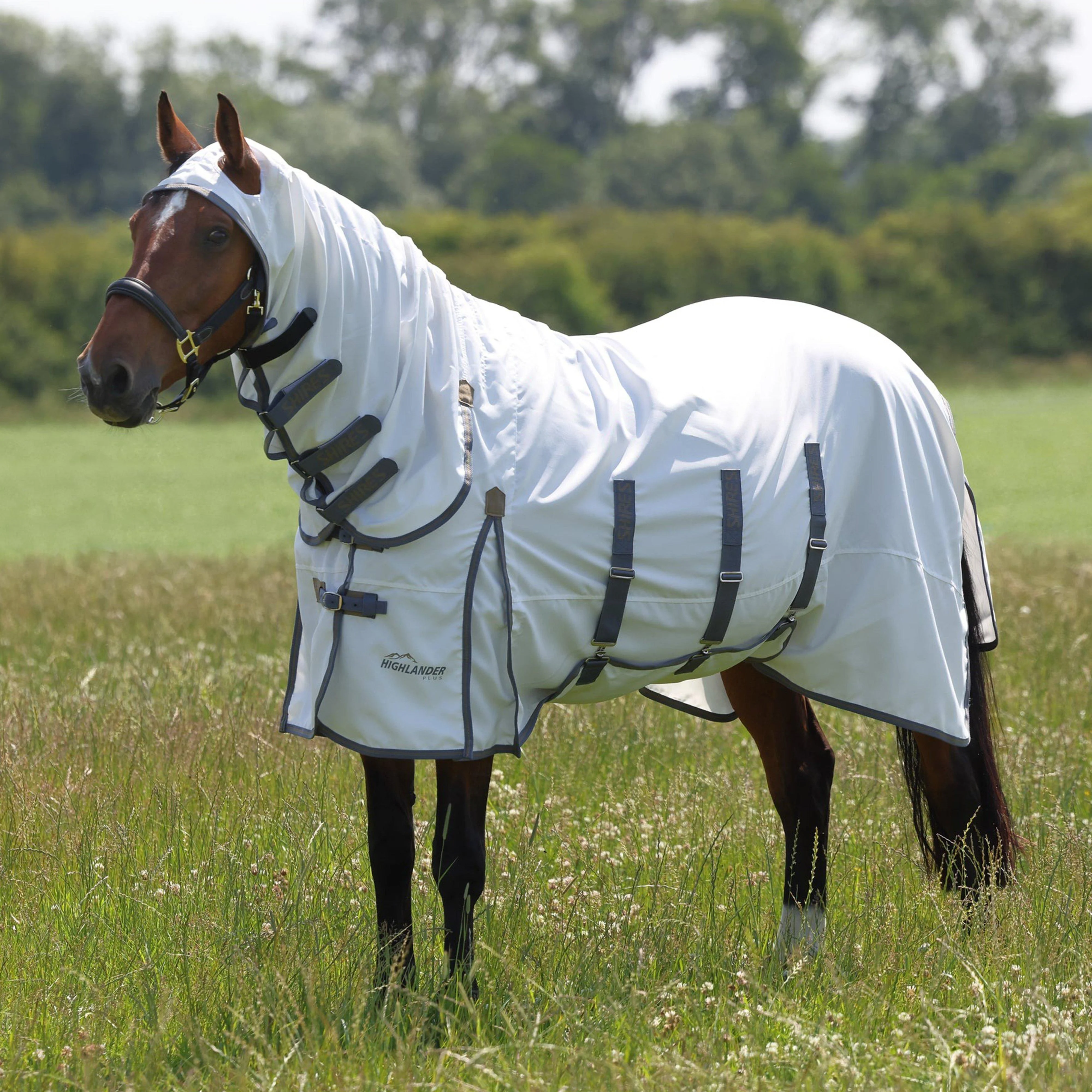 Highlander Plus Sweet-itch Combo Rug White/Airforce - Image 2