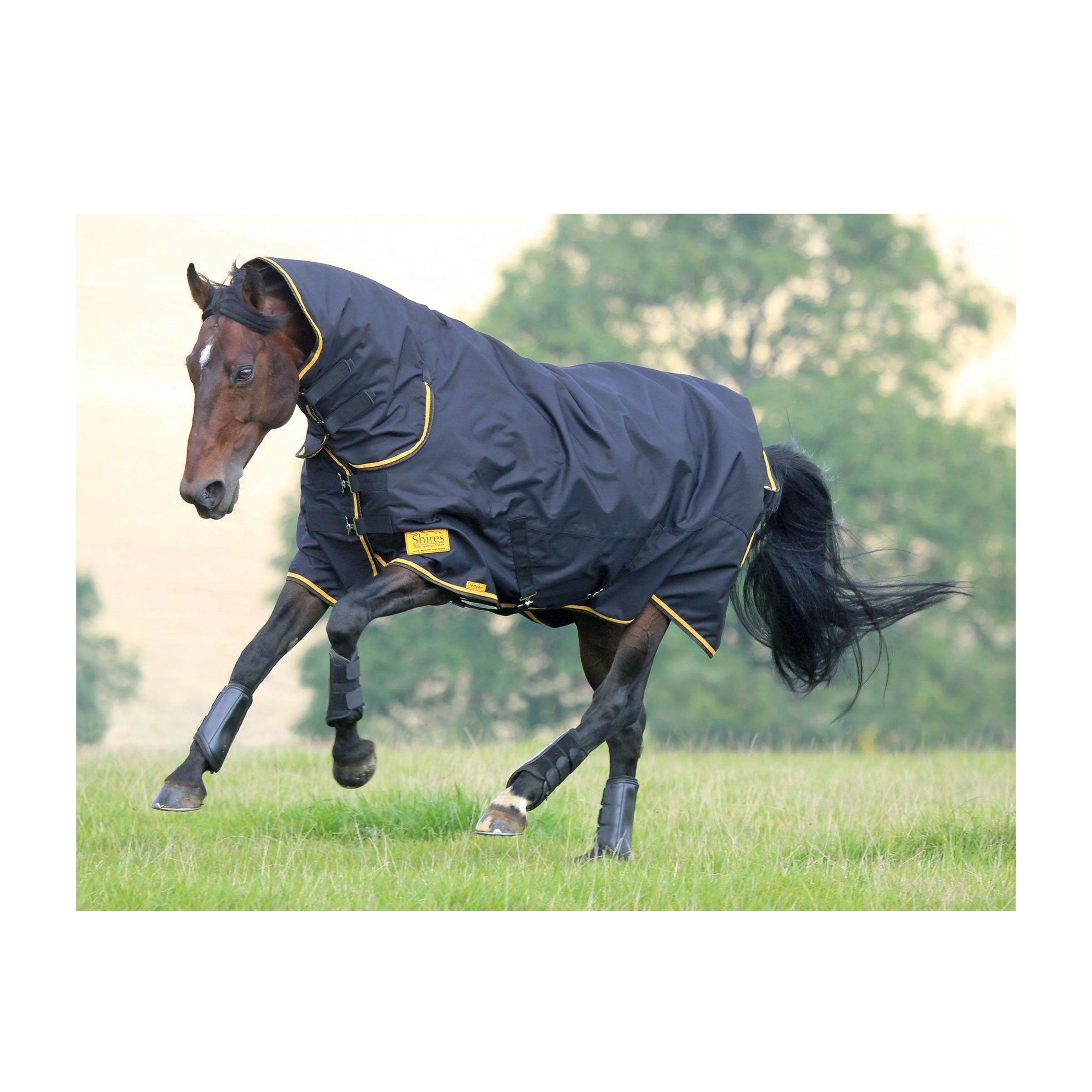 Tempest Original 100 Combo Turnout Rug - Image 2