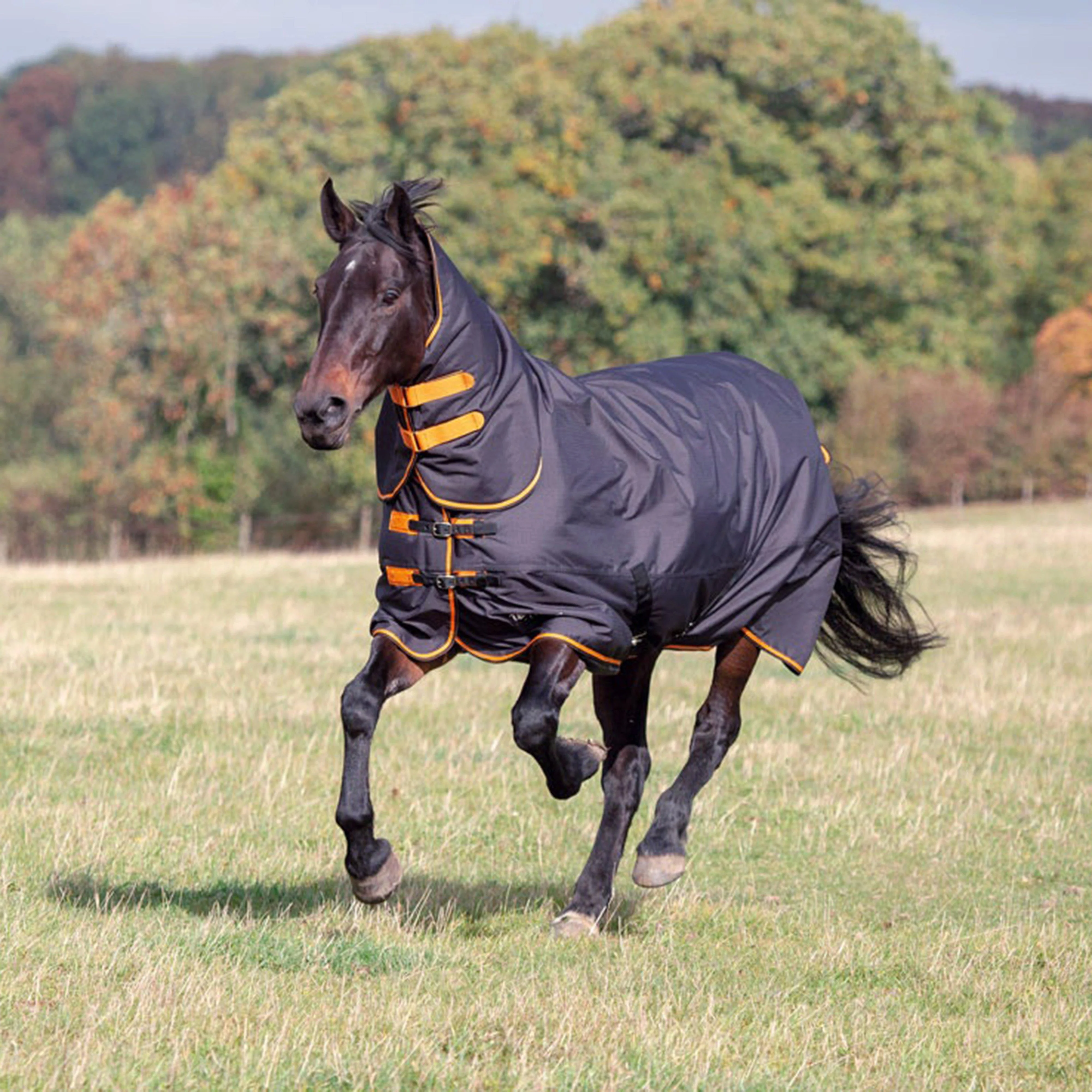 Tempest Original 200g Medium Weight Combo Neck Turnout Rug - Image 2