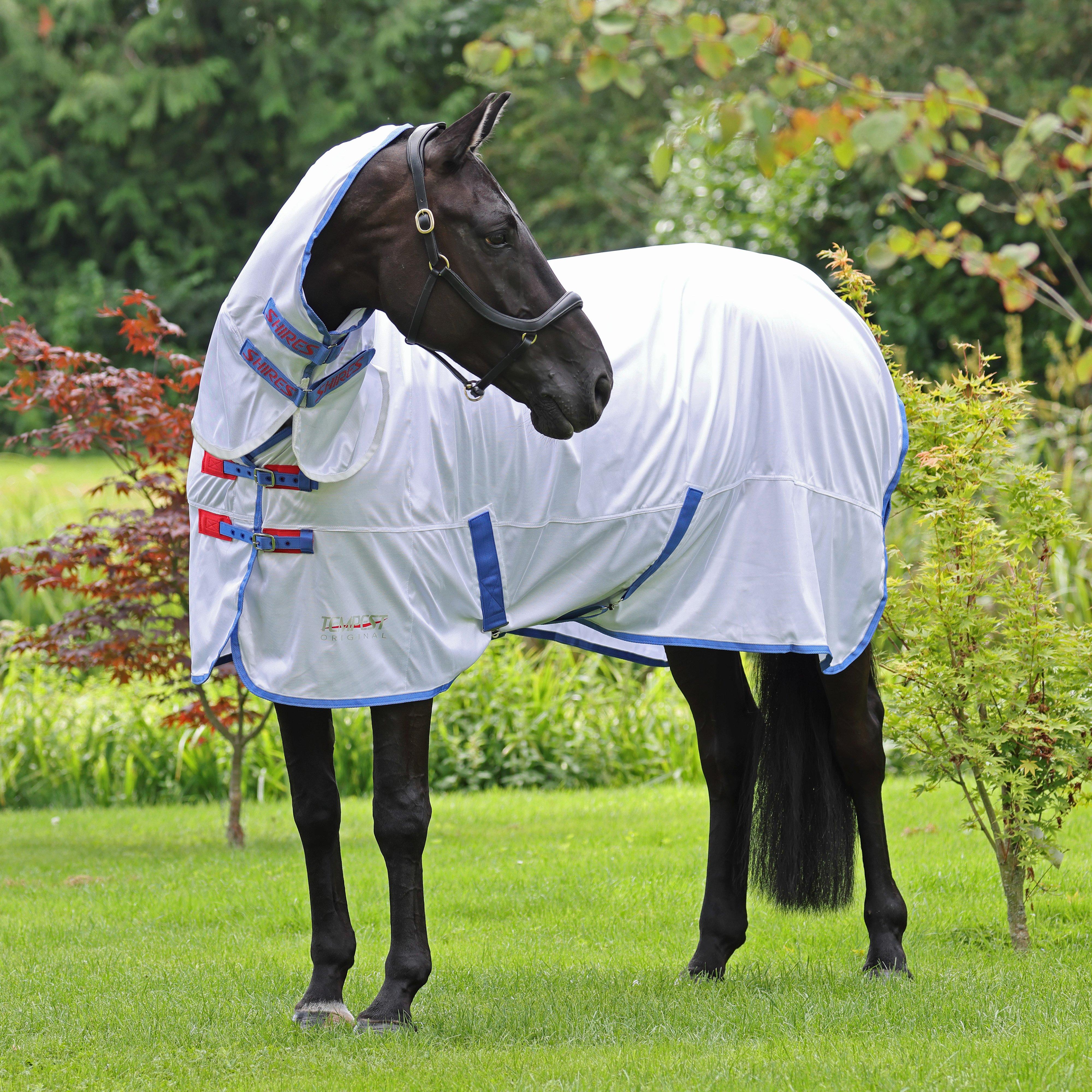 Tempest Original Fly Combo Rug White/Navy - Image 5