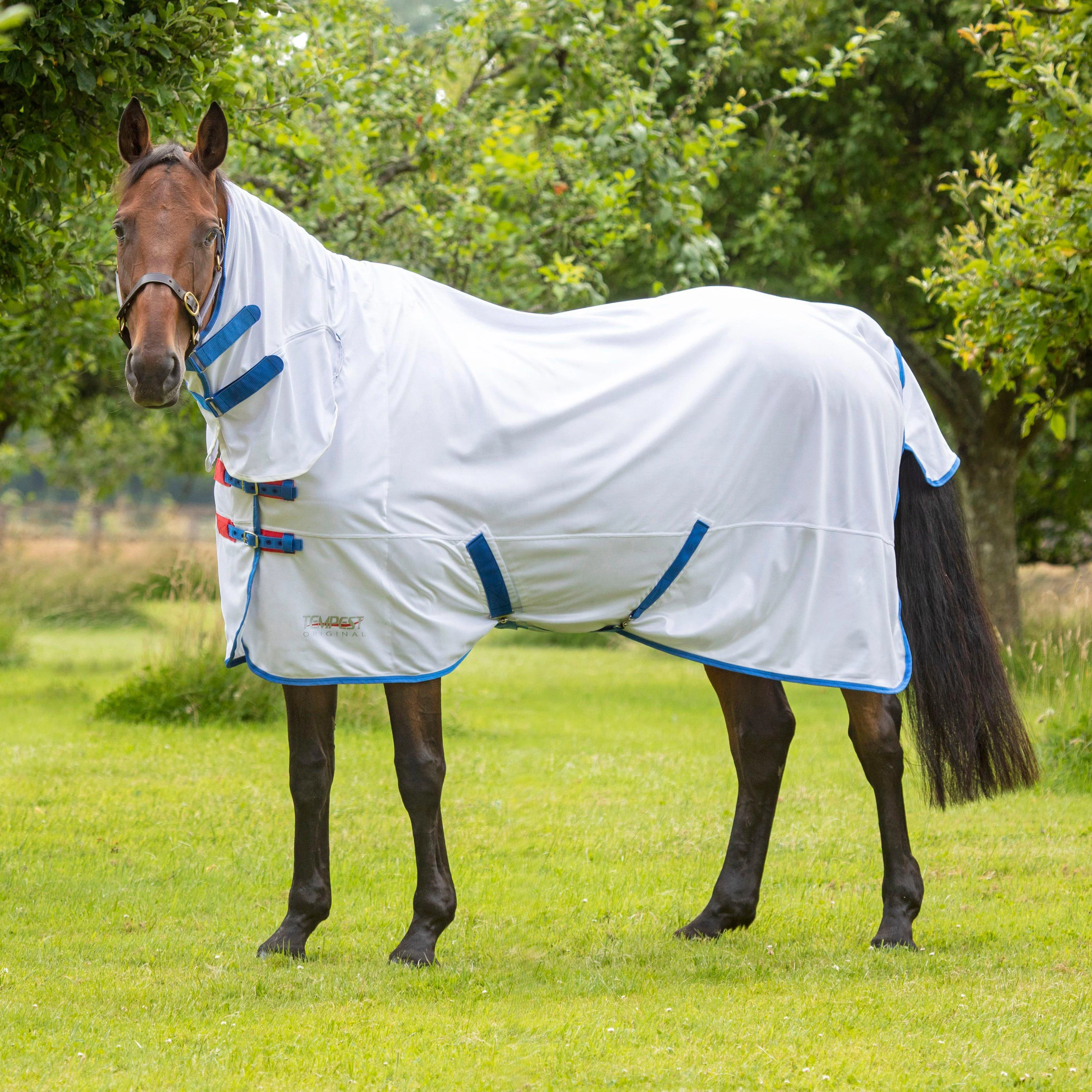 Tempest Original Fly Combo Rug White/Navy - Image 6