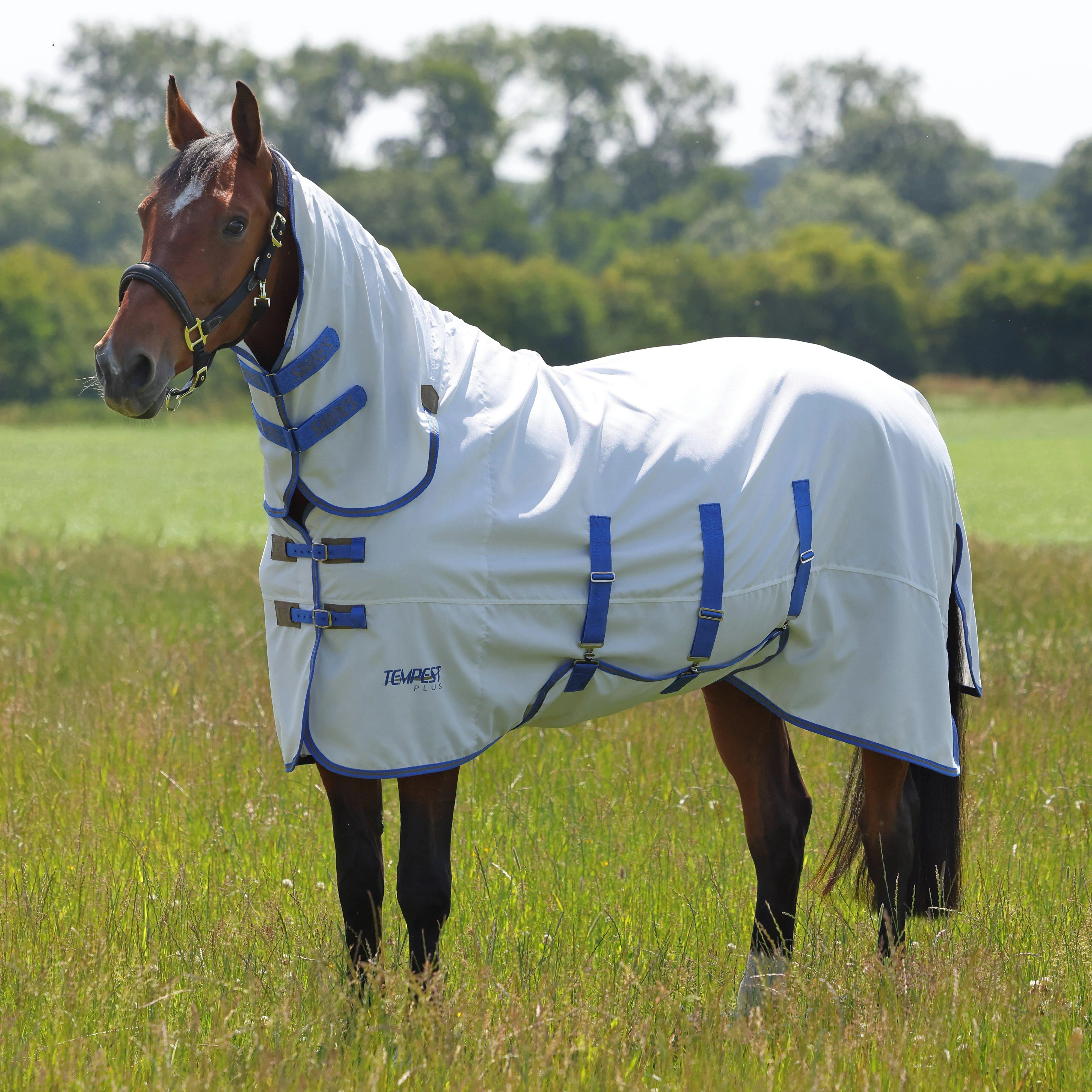 Tempest Plus Sweet-itch Combo Rug White/Blue - Image 2