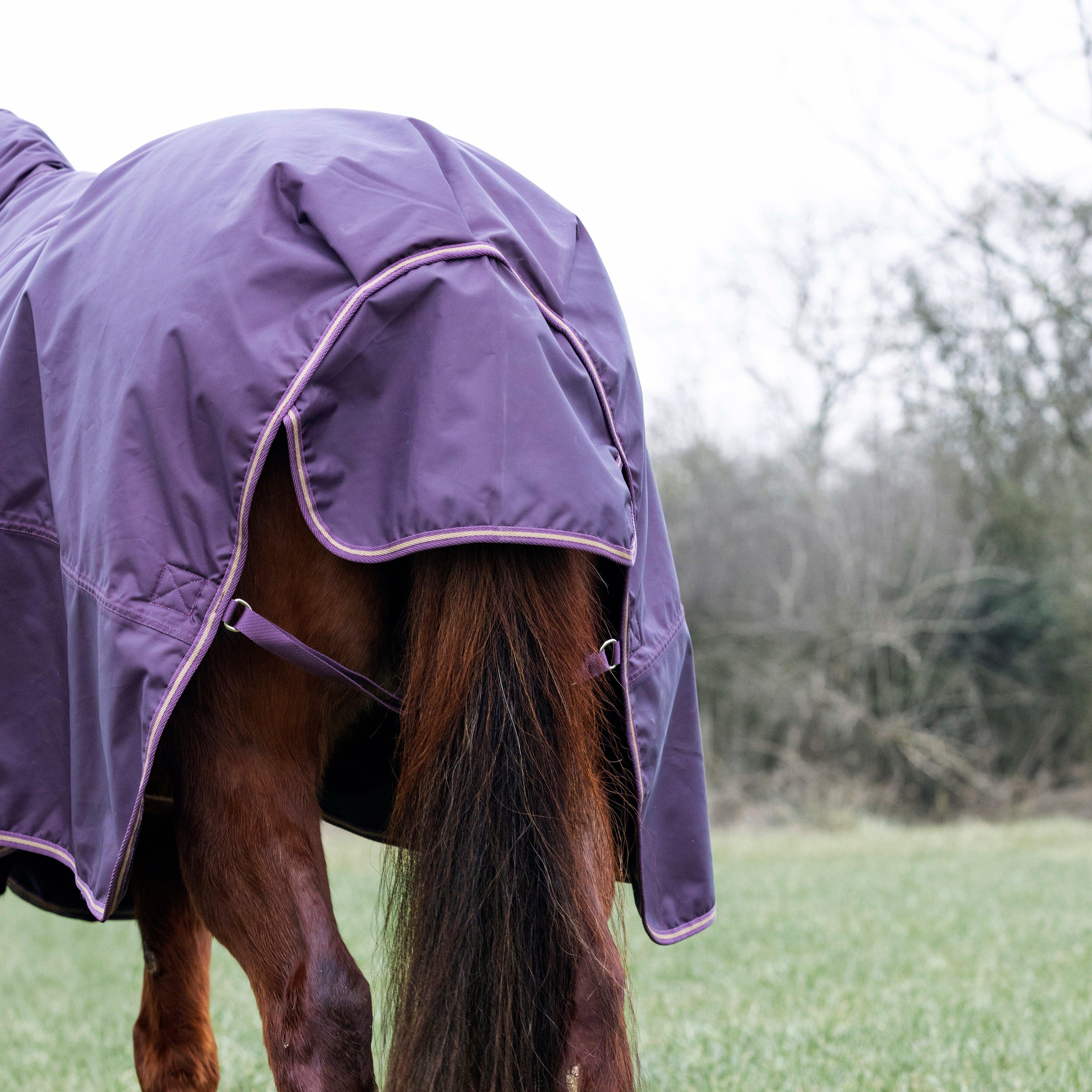 Typhoon 100g Combo Neck Turnout Rug - Image 4