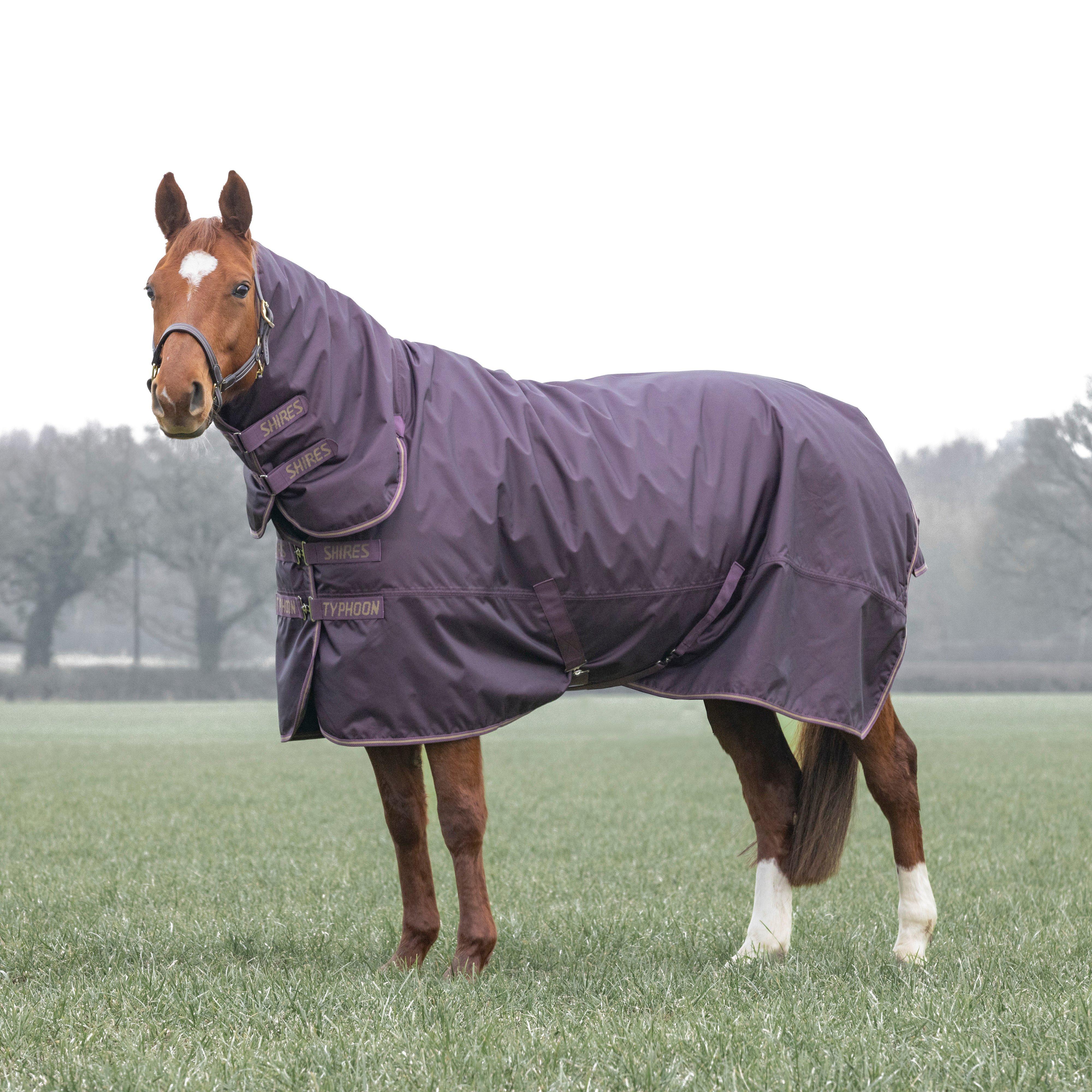 Typhoon 100g Combo Neck Turnout Rug - Image 5