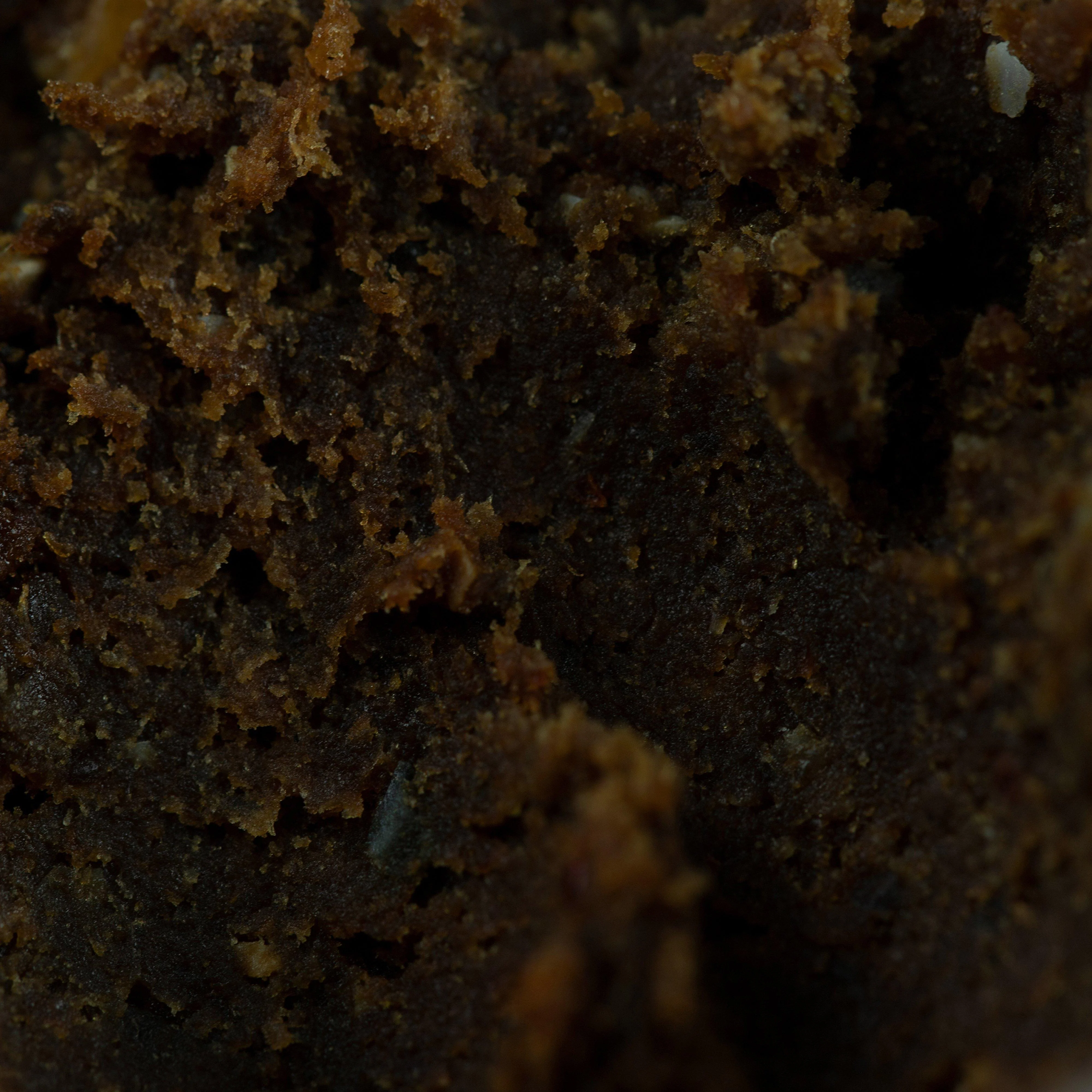 Bloodworm Paste - Image 4