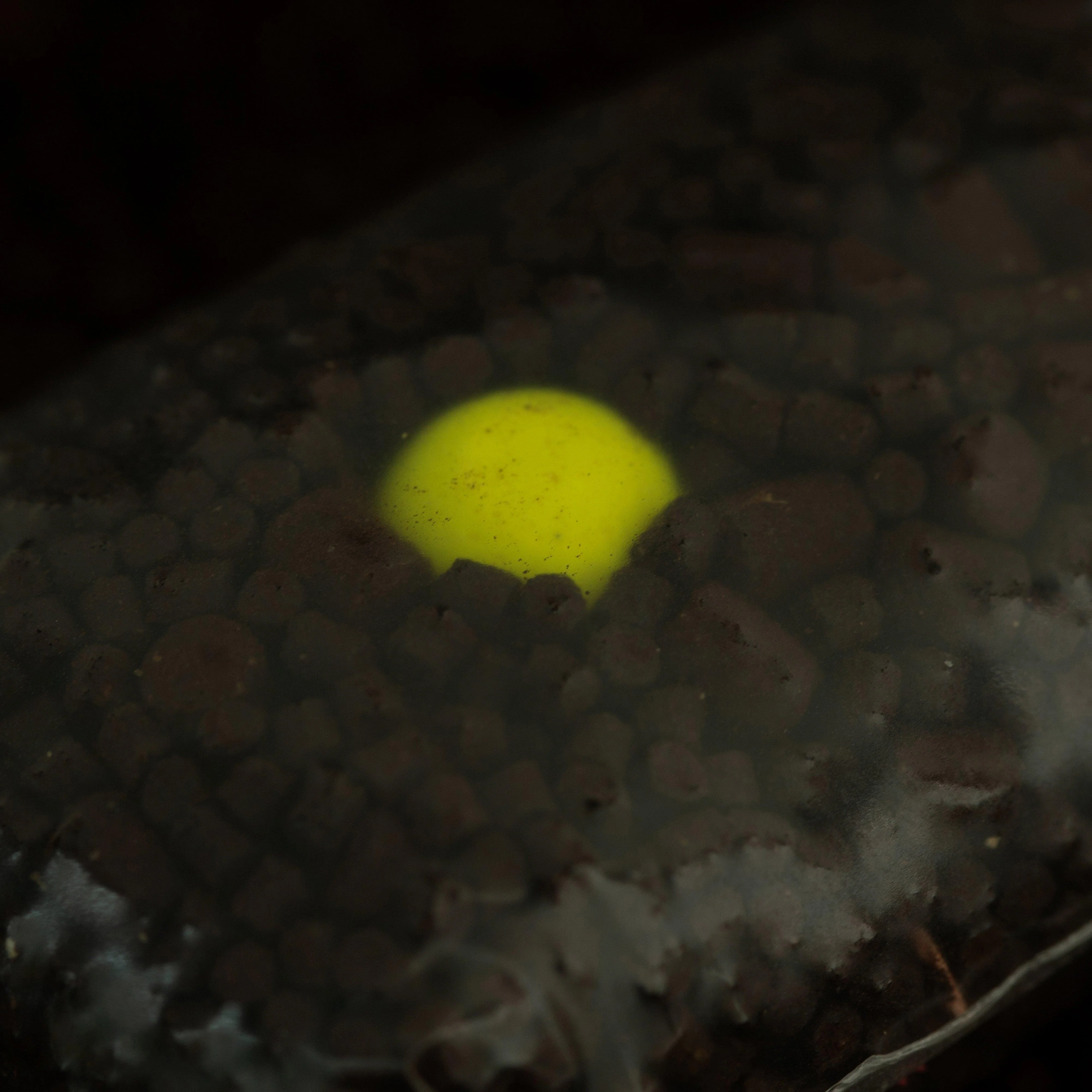 Hi-Attract Pop Ups in Pineapple and Nbutyric, 16mm - Image 4